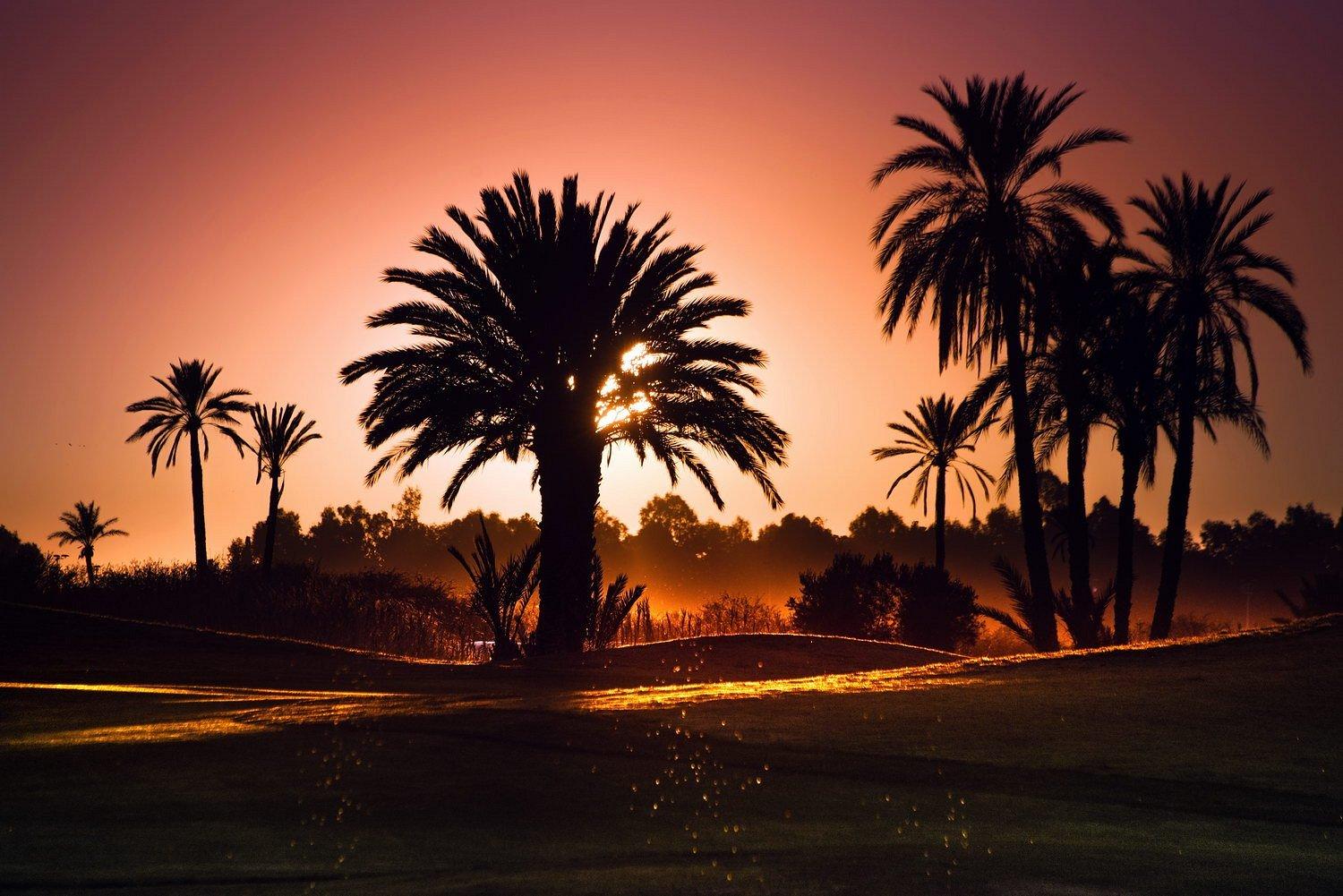 Golf Amelkis 8