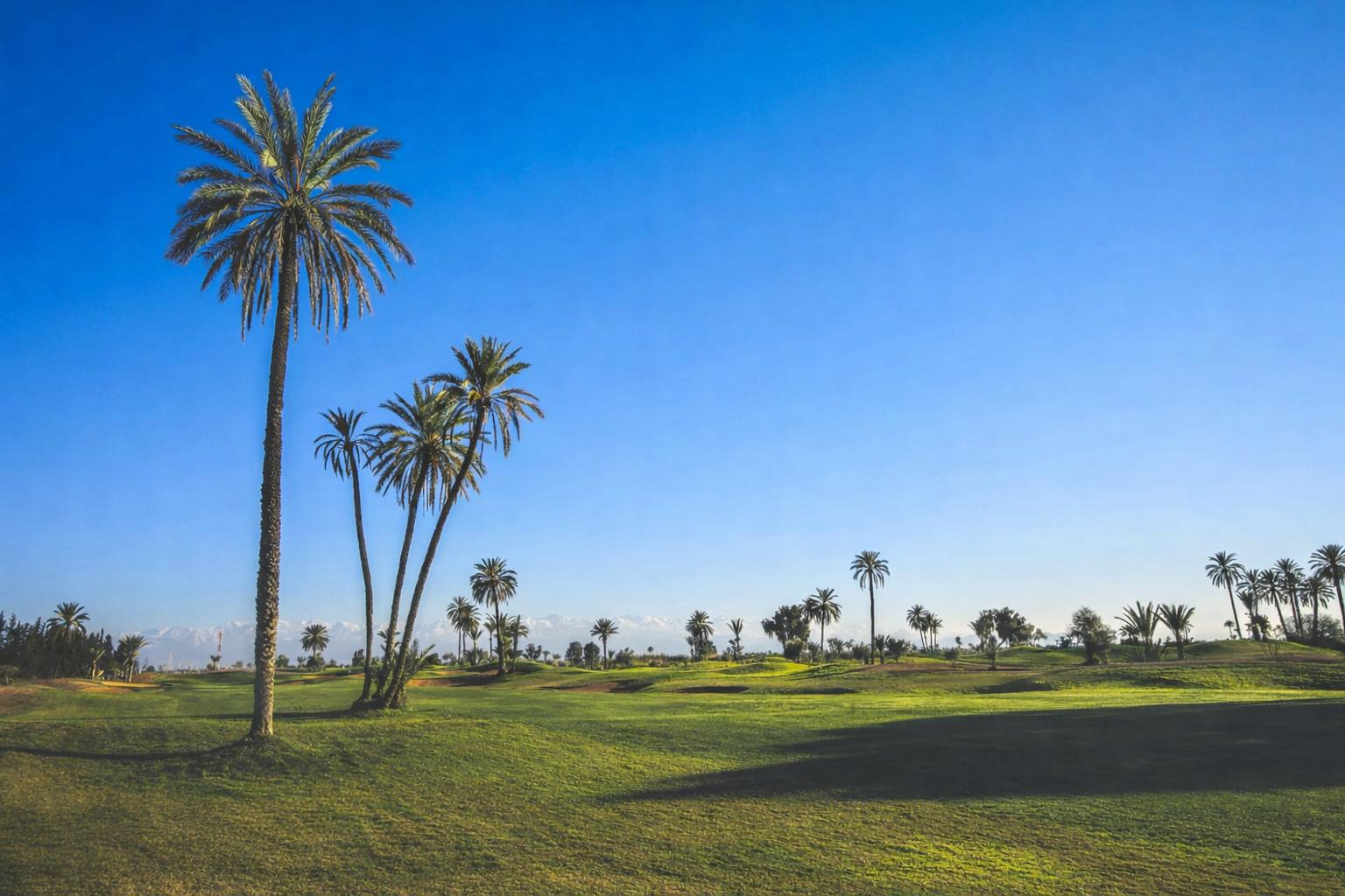 Golf Amelkis 14