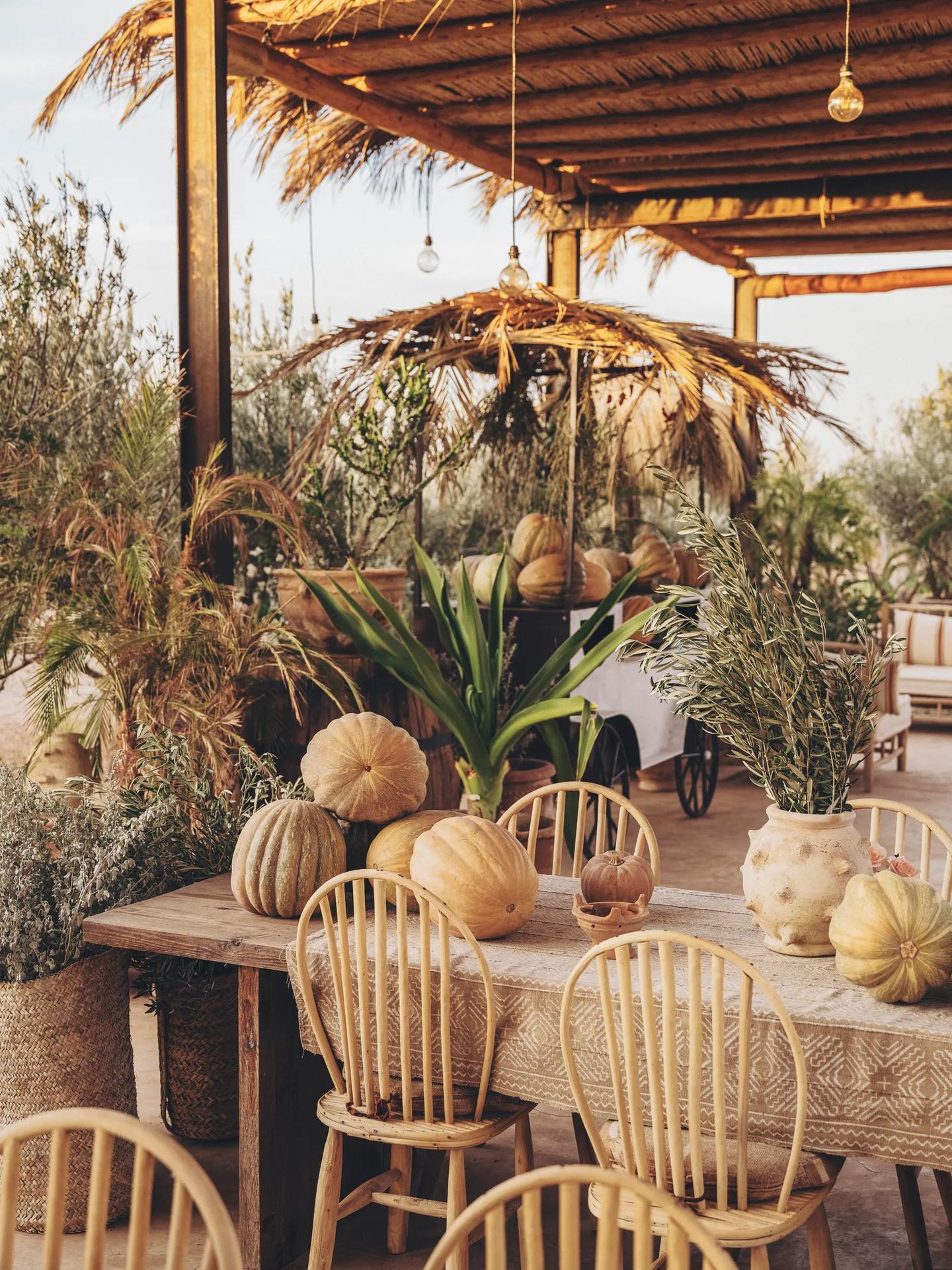 Farasha Farmhouse 6