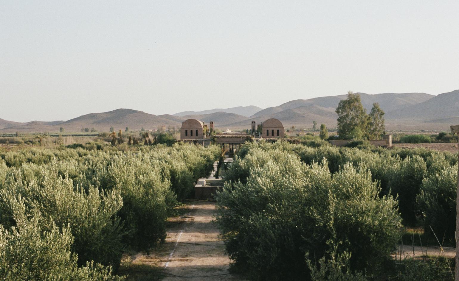 Farasha Farmhouse 25