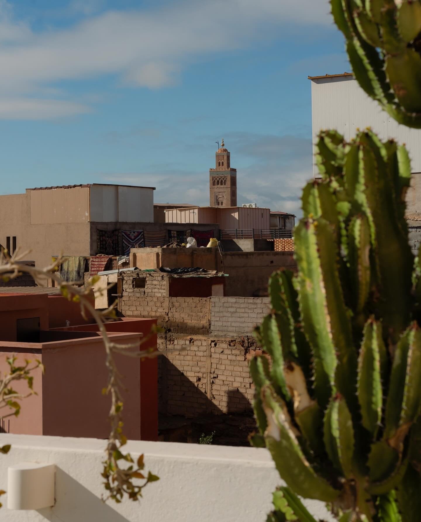 View from the roof of Numa Marrakech over medina rooftops to the Koutoubia minaret, with a cactus