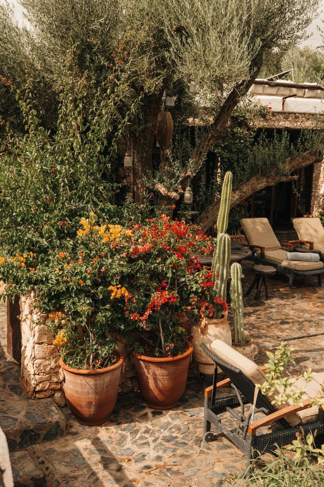 Pure Farm House 16