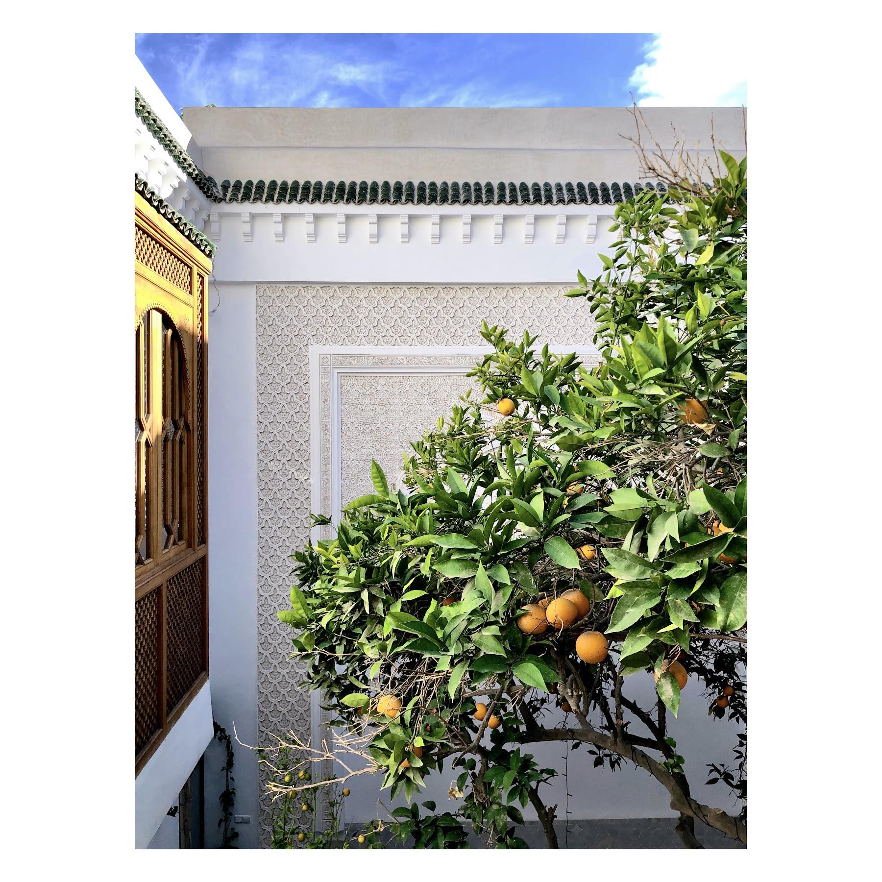 Riad Botanica 6