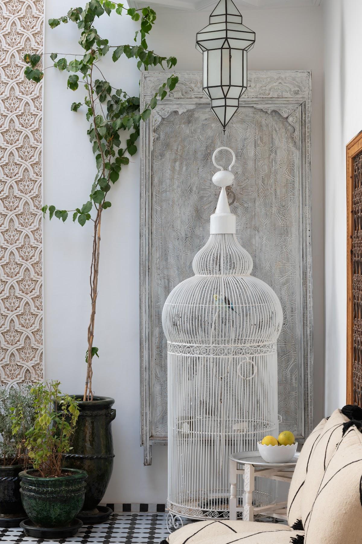 Riad Botanica 7