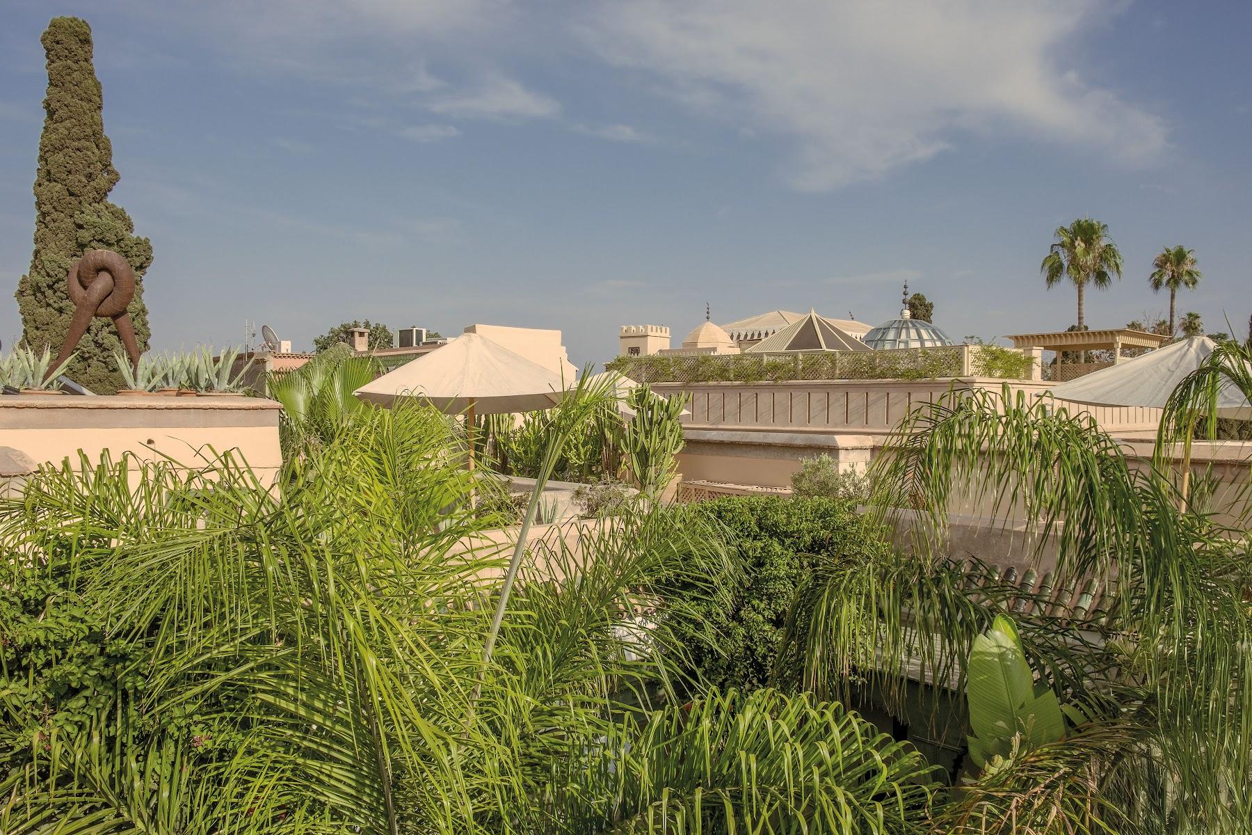 Riad Jaaneman 14