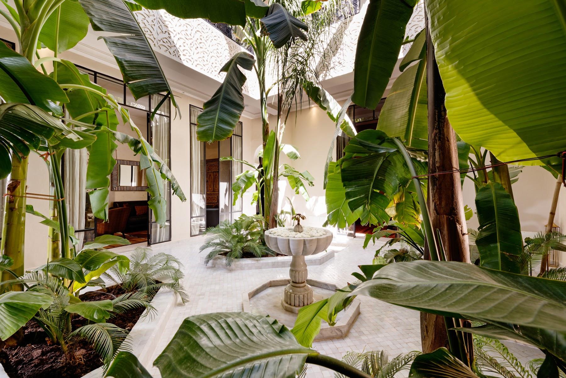 Riad Kheirredine 2