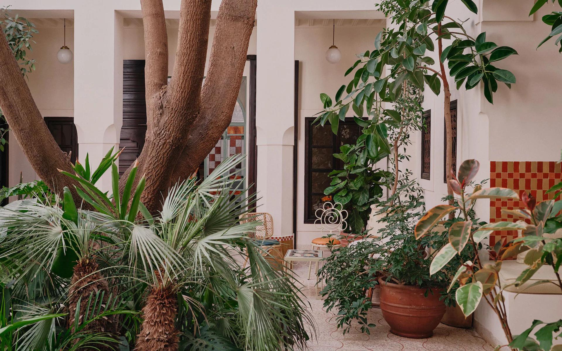 Riad Rosemary 3