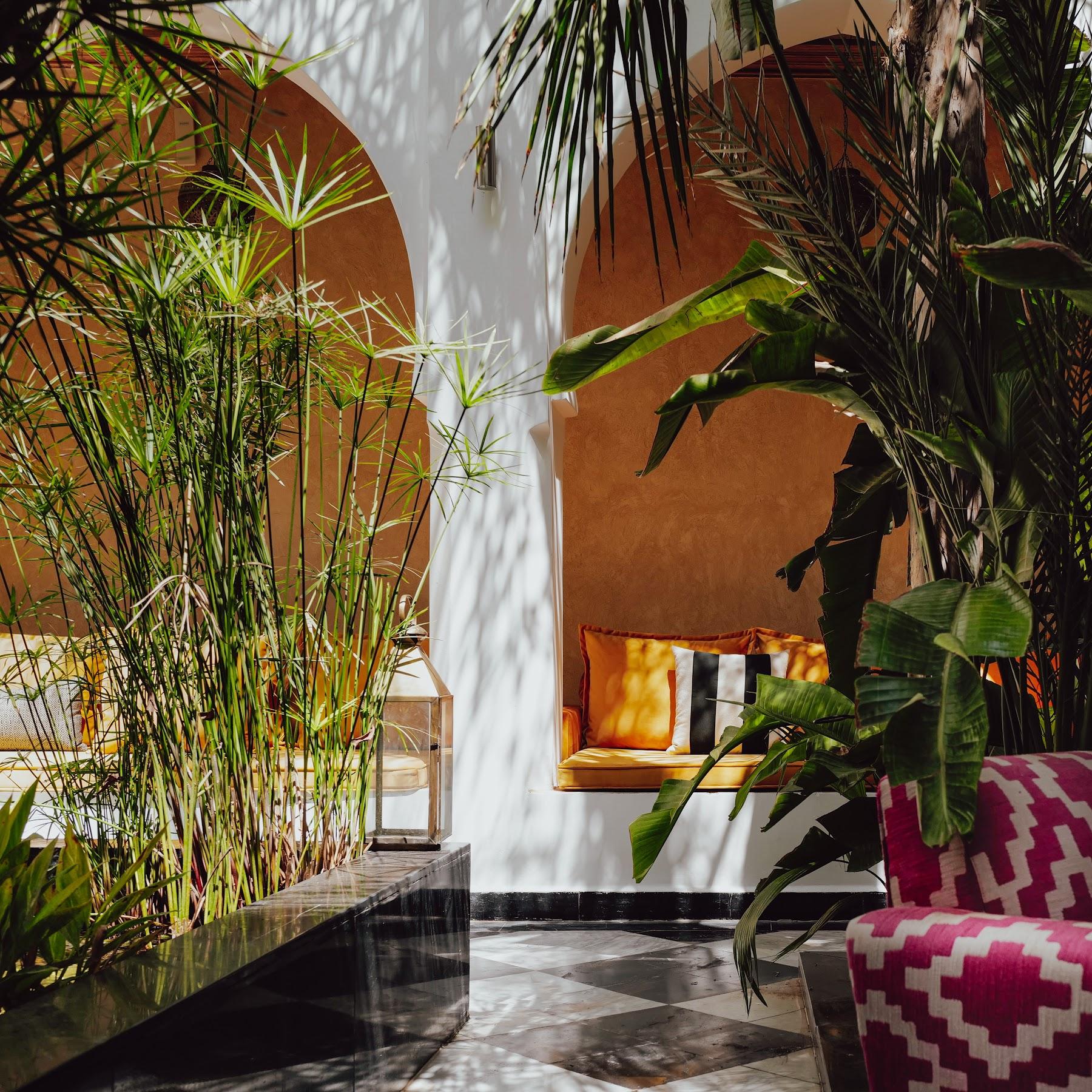 Riad Sakkan 2