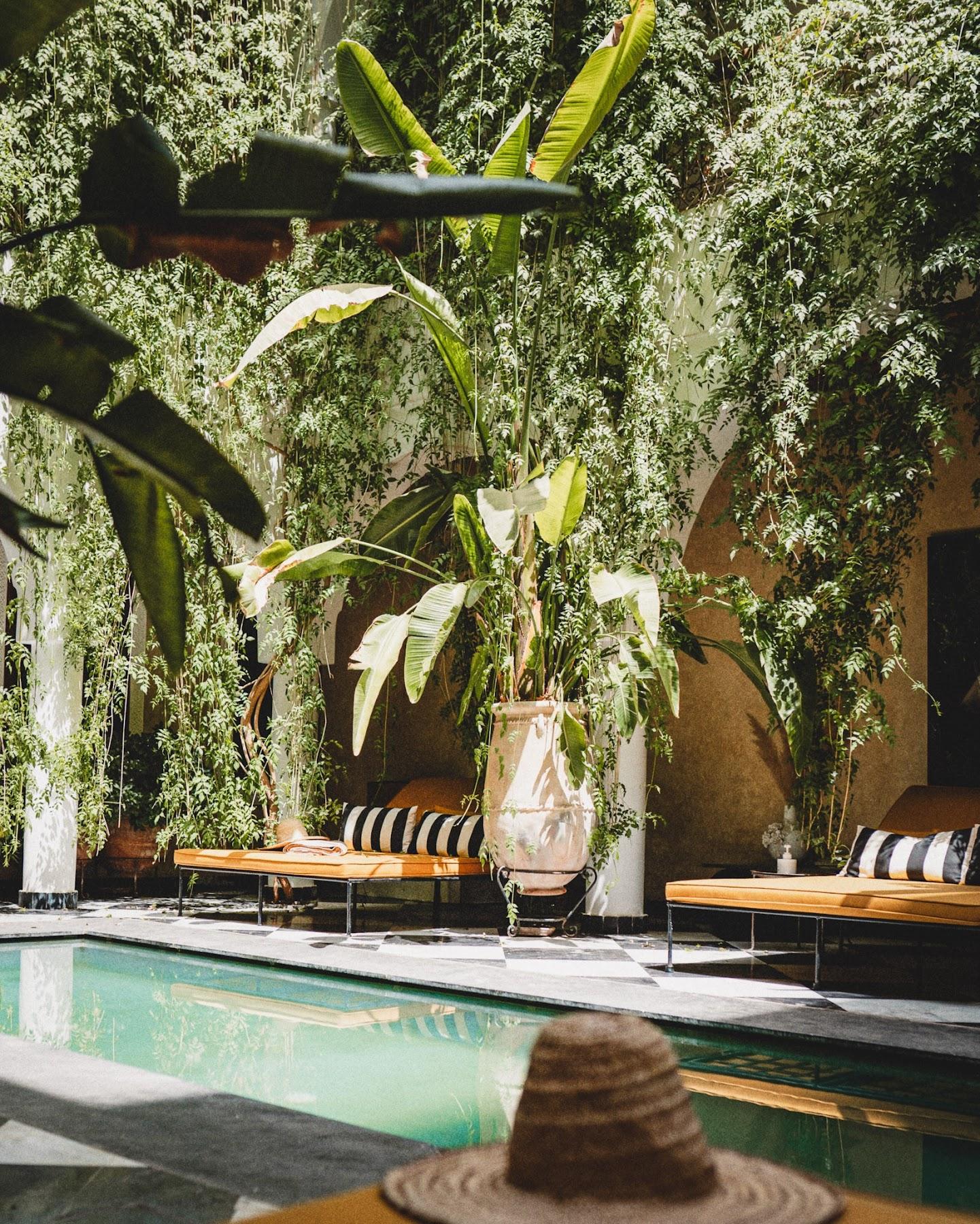 Riad Sakkan 15