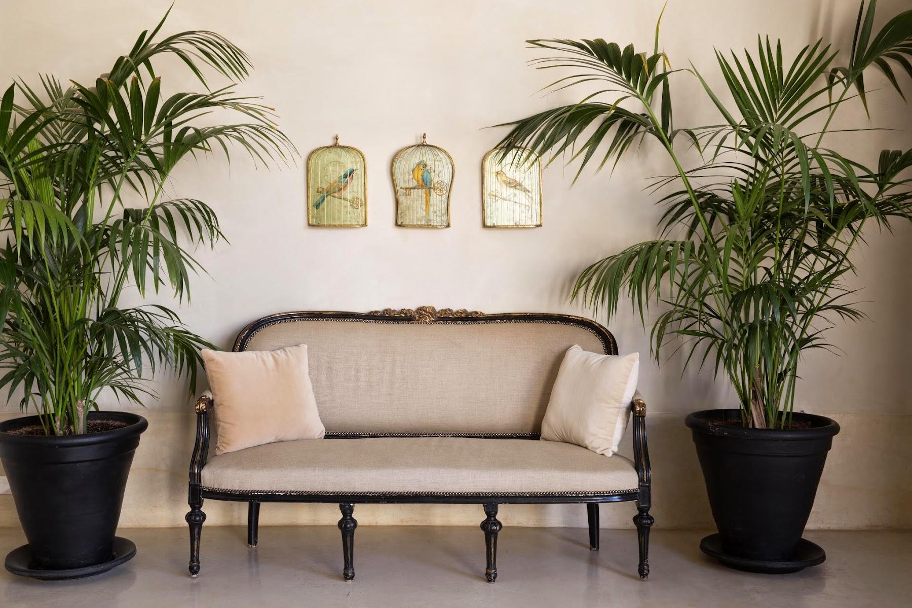 Riad Tarabel 12