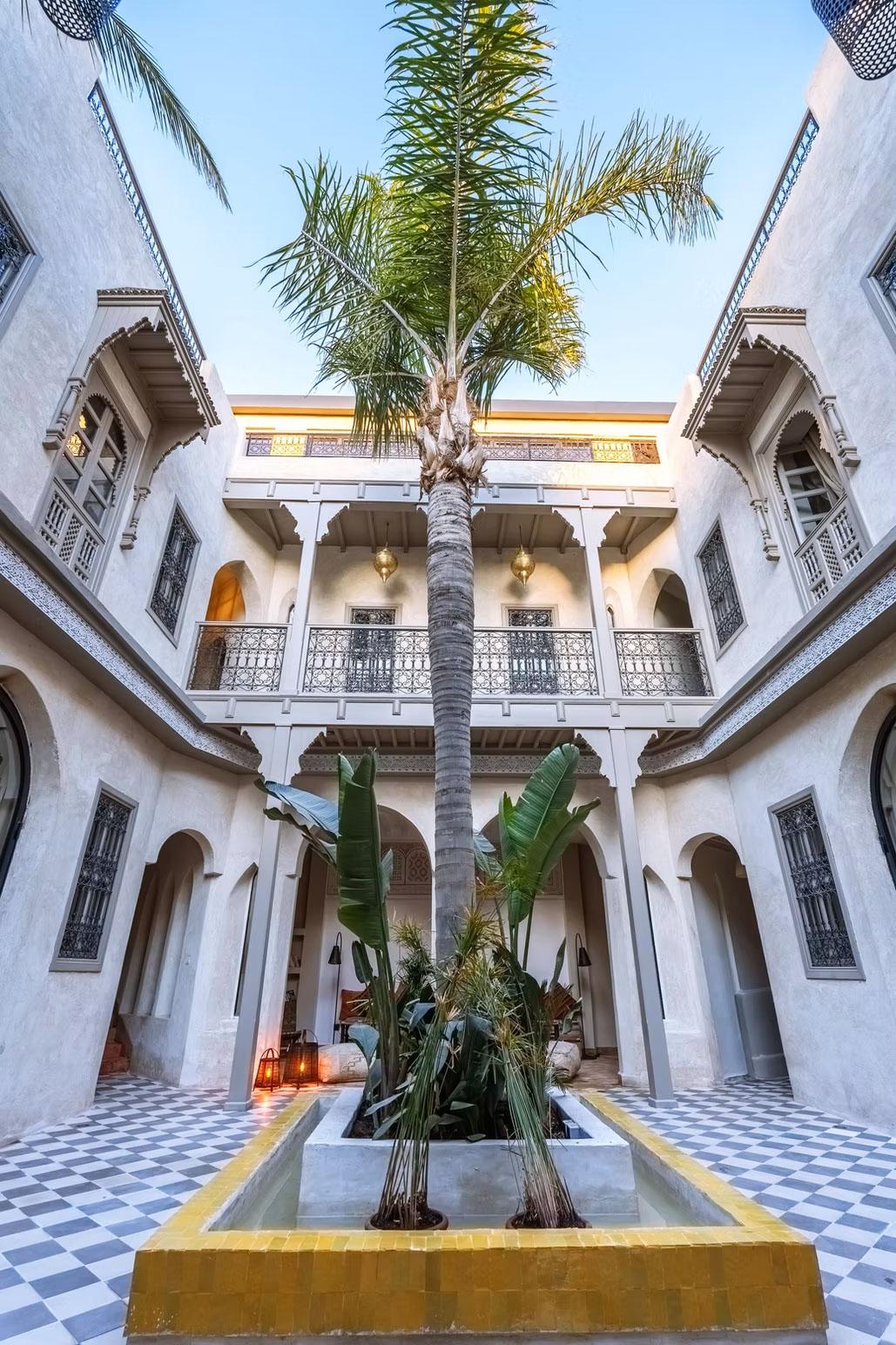 Riad XO 7