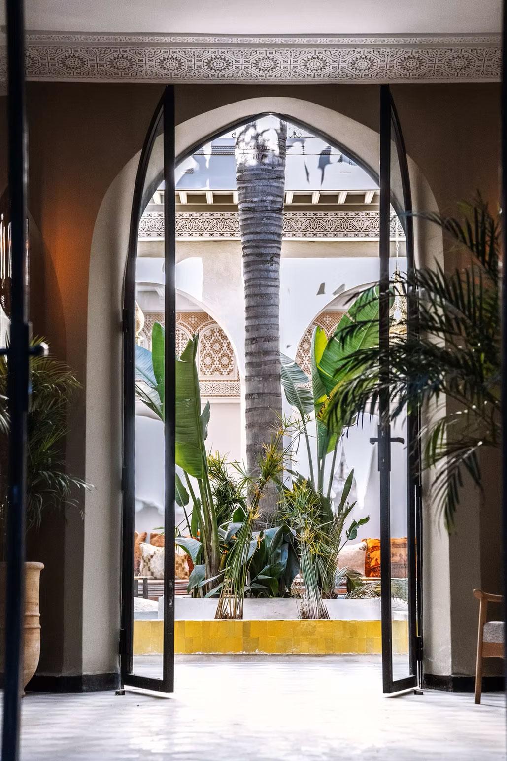 Riad XO 8