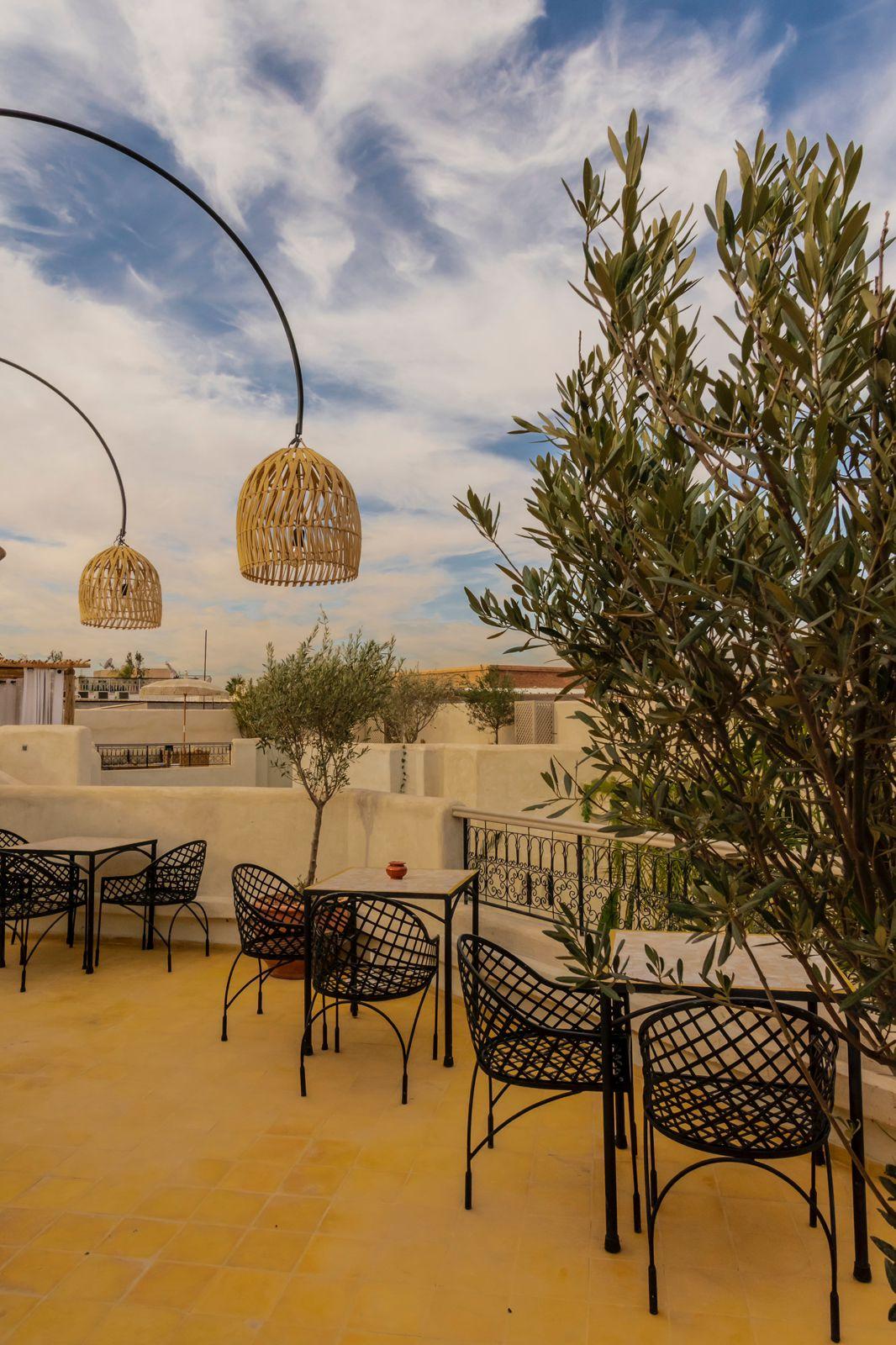 Riad XO 16