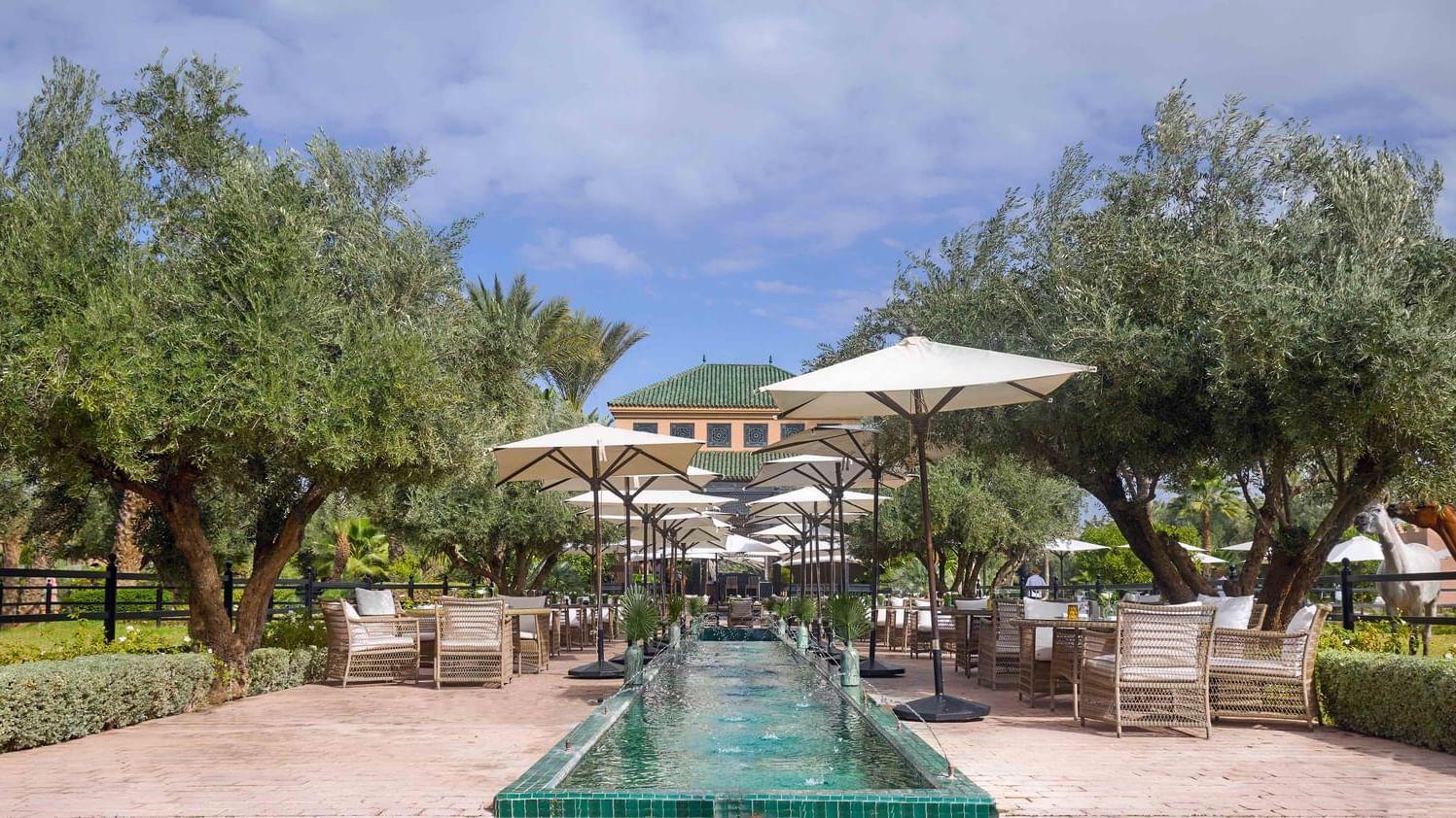 Marrakech in Autumn: What September and October Actually Offer