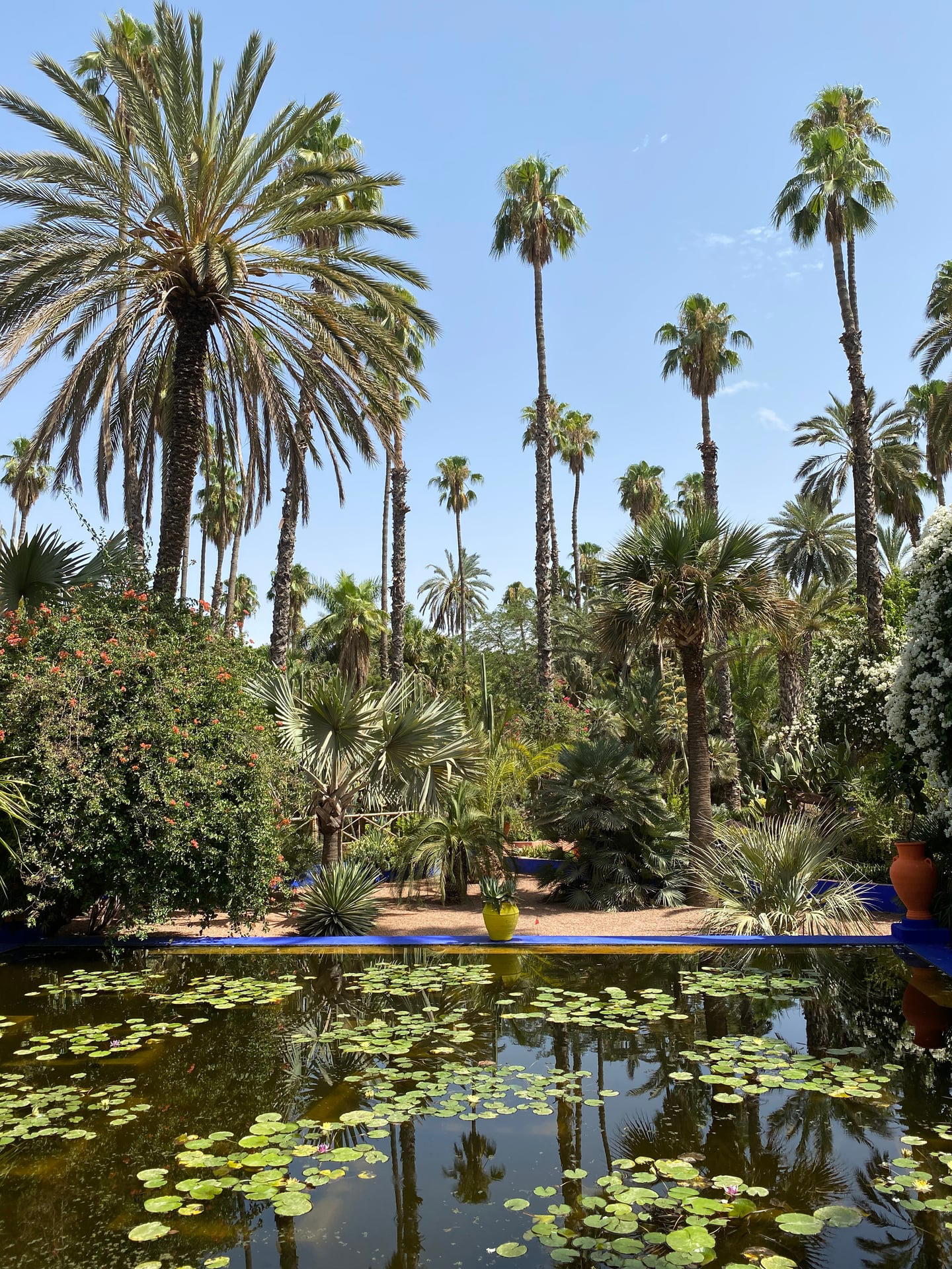Jardin Majorelle