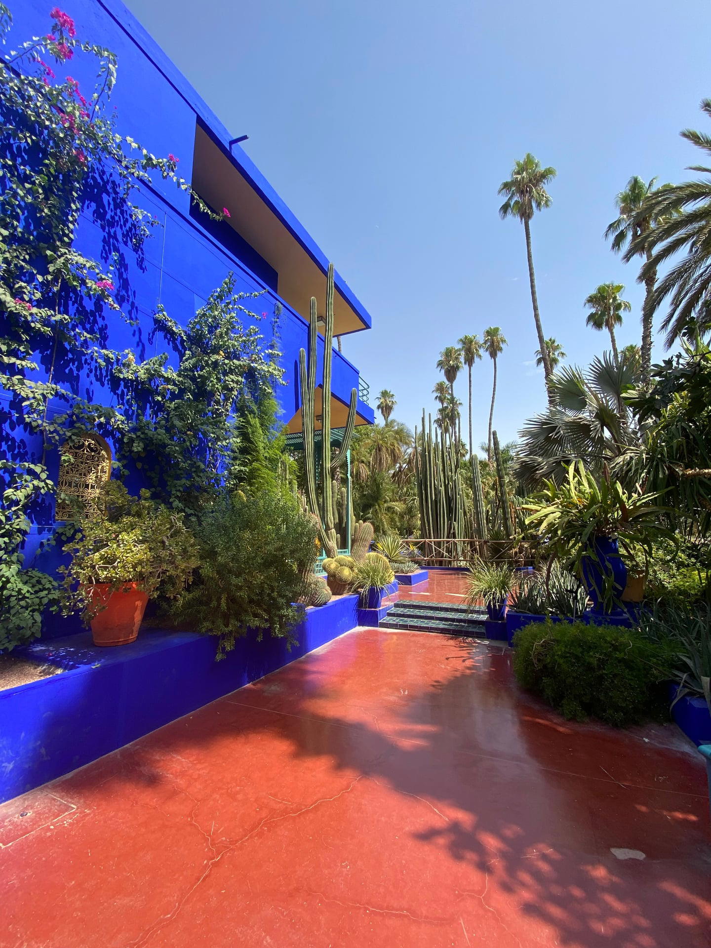 Jardin Majorelle