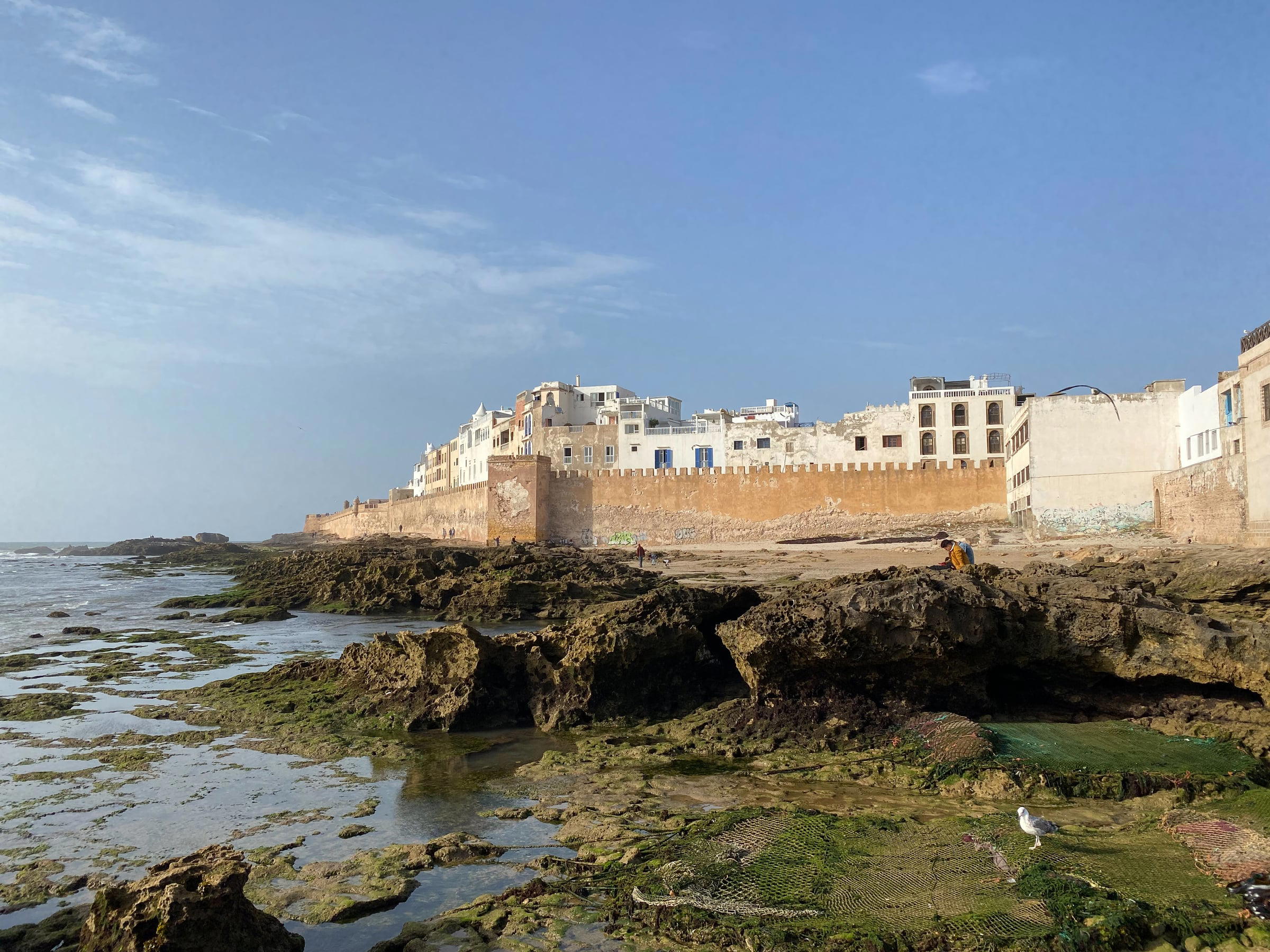 Essaouira: A Port Town Built for Traders, Kept by Artists