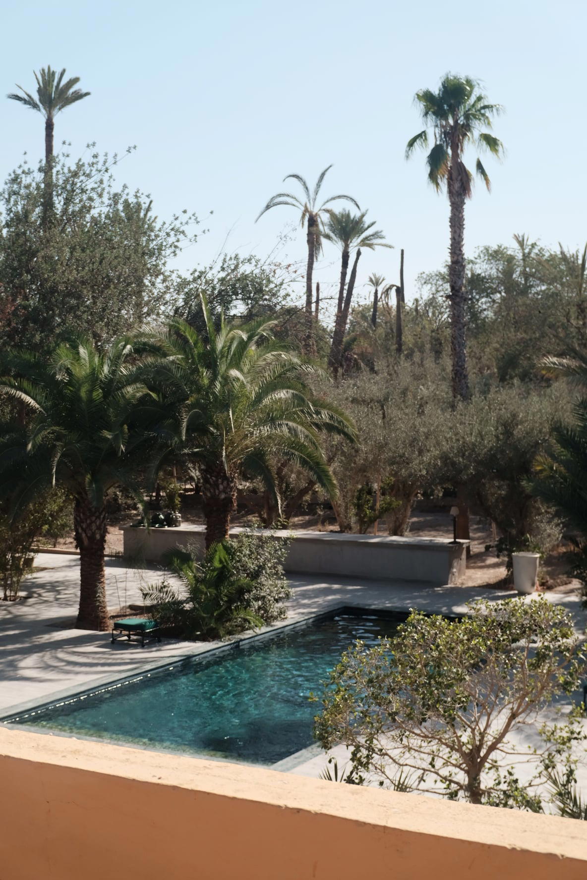 The pool among the palms at Jnane Tamsna