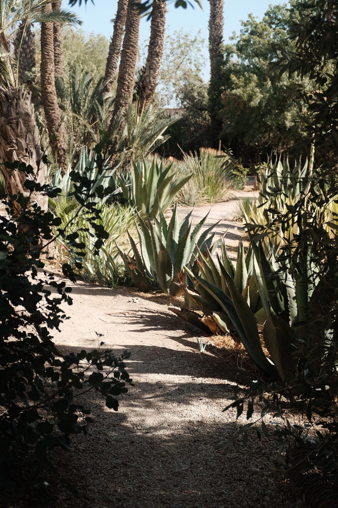 A path through the gardens of Jnane Tamsna