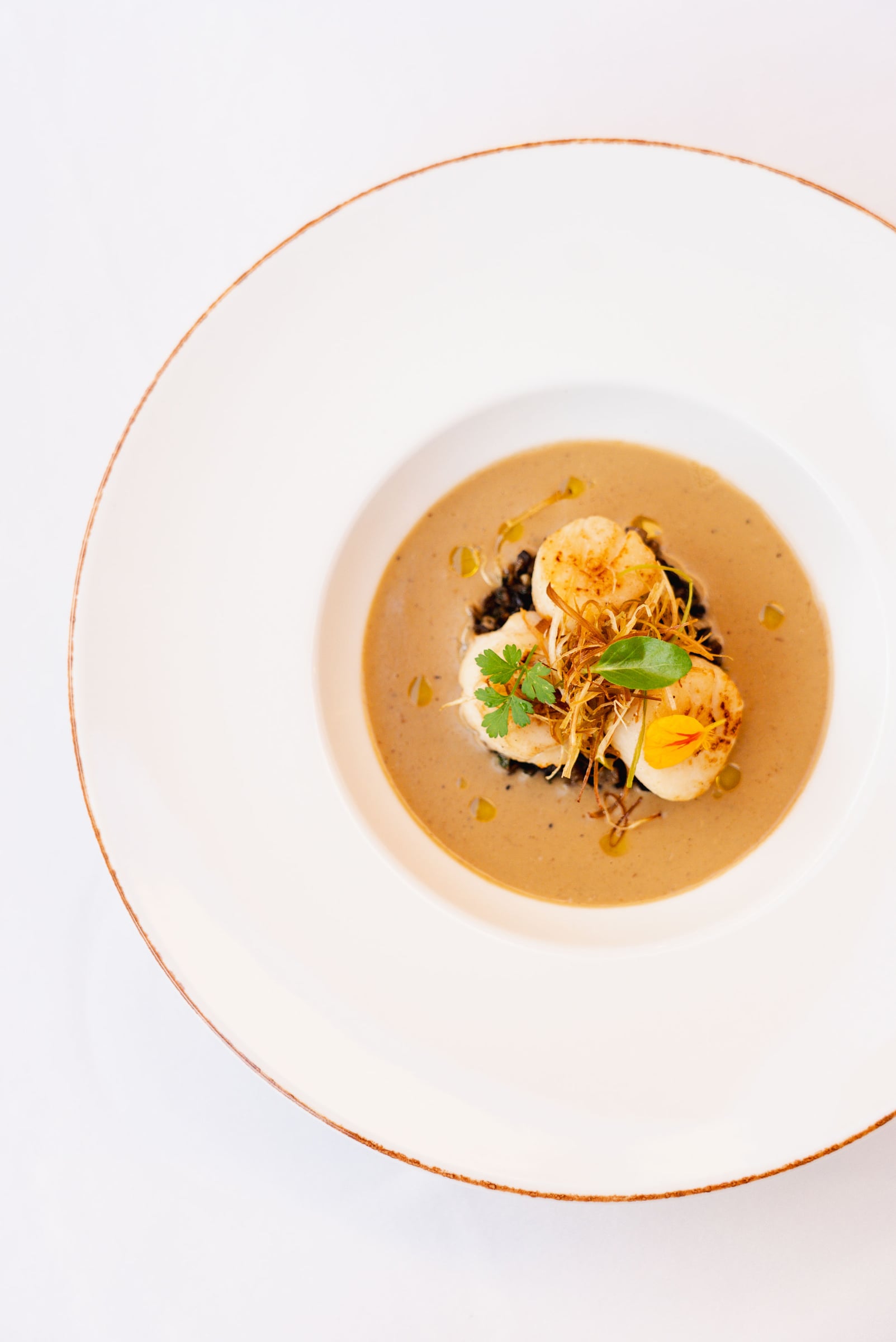 Seared scallops on a dark grain in a brown bisque, crisp fried threads and an edible flower on top.