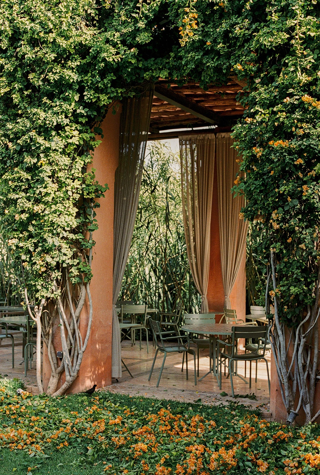 Covered garden dining terrace with sage-green chairs under a beamed pergola and climbing bougainvillea.
