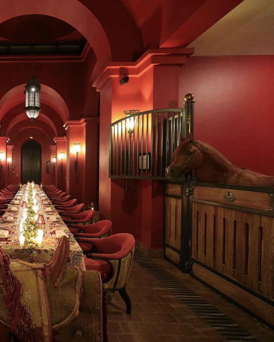 Dinner beside the horses