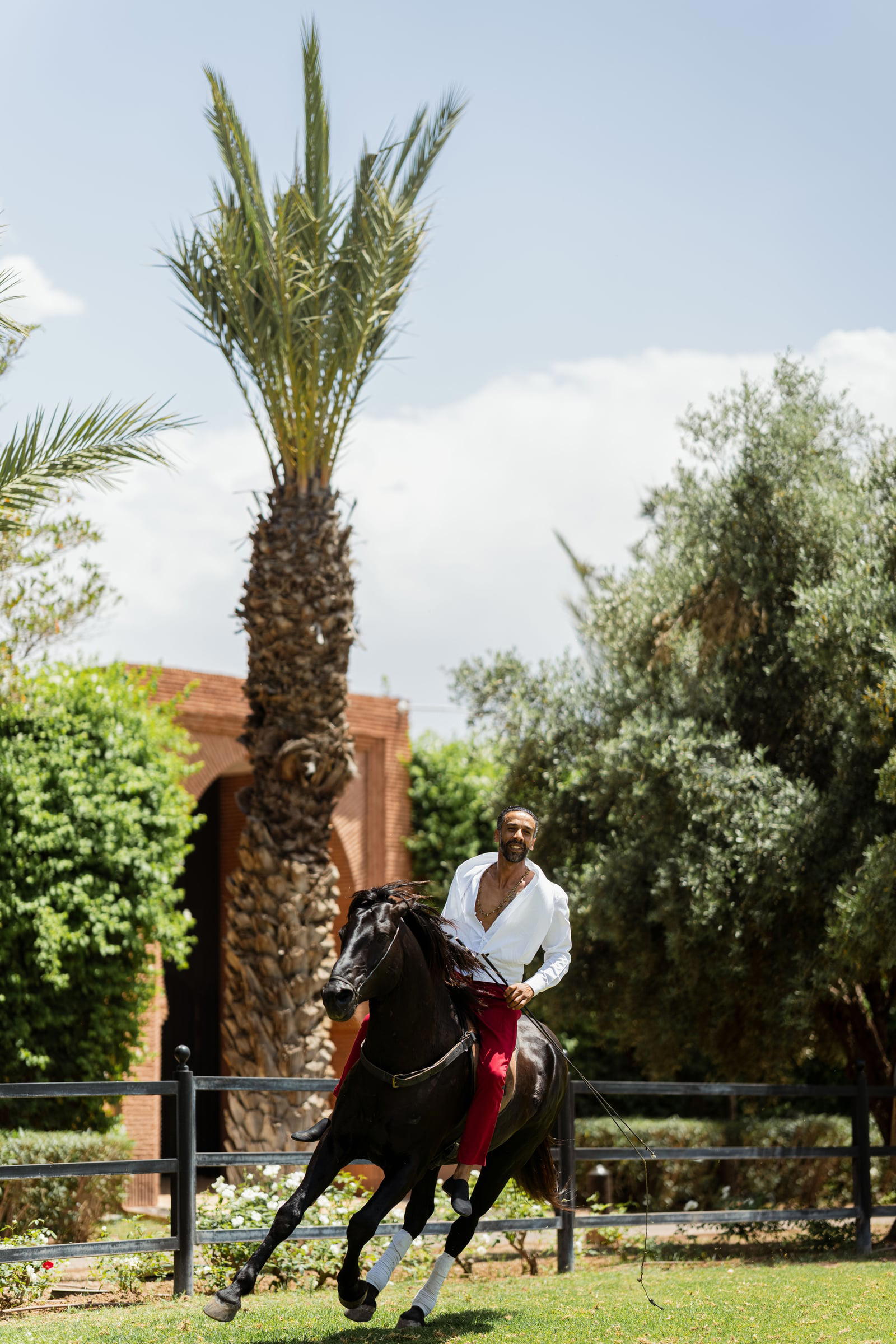 A rider and his horse during the show