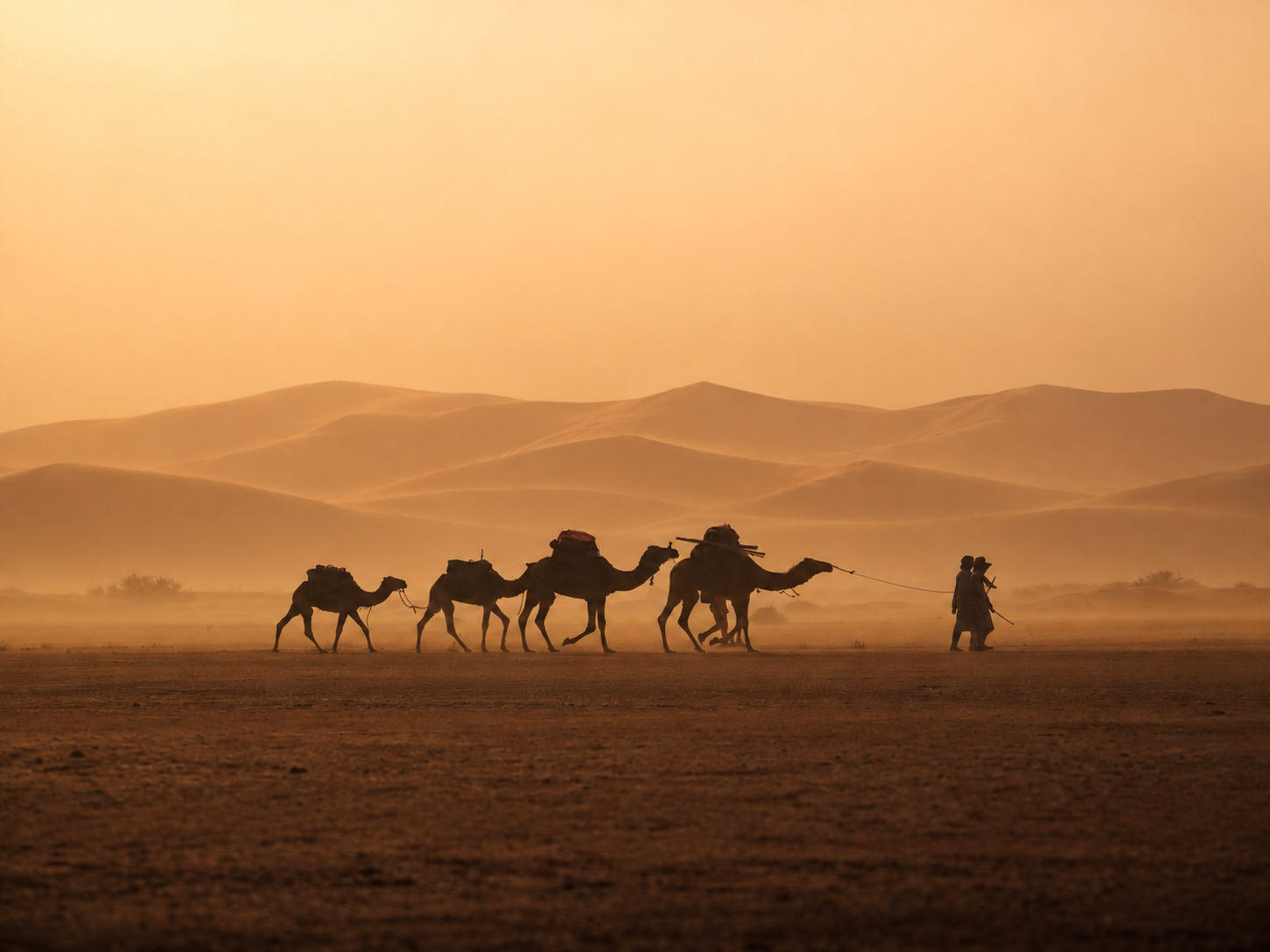 Agafay, Zagora or Merzouga: 3 Deserts, 3 Different Experiences from Marrakech