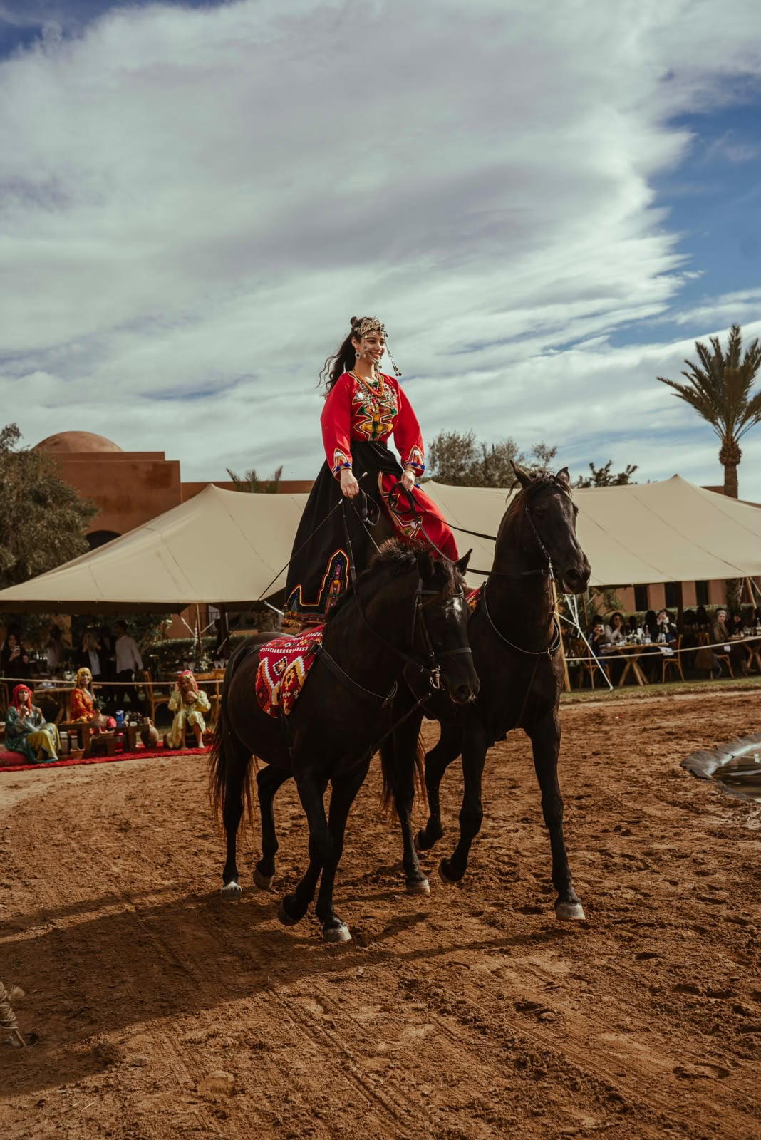A rider standing on two horses
