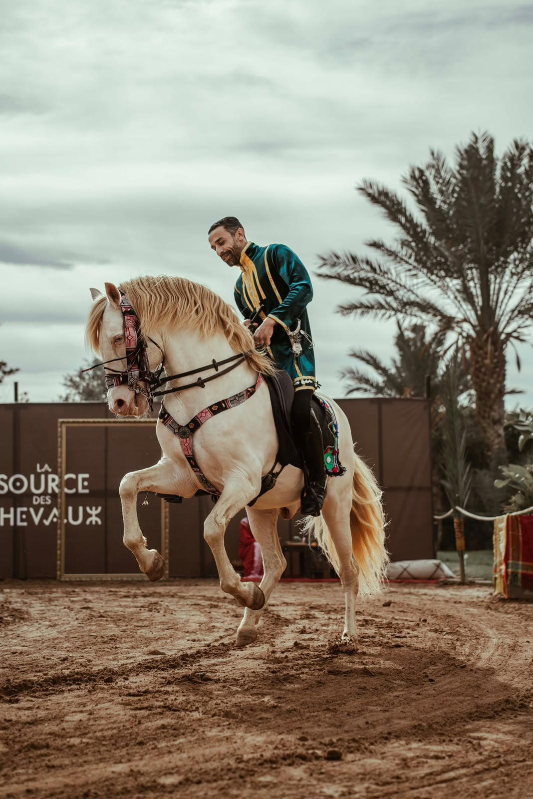 A rider on a white horse