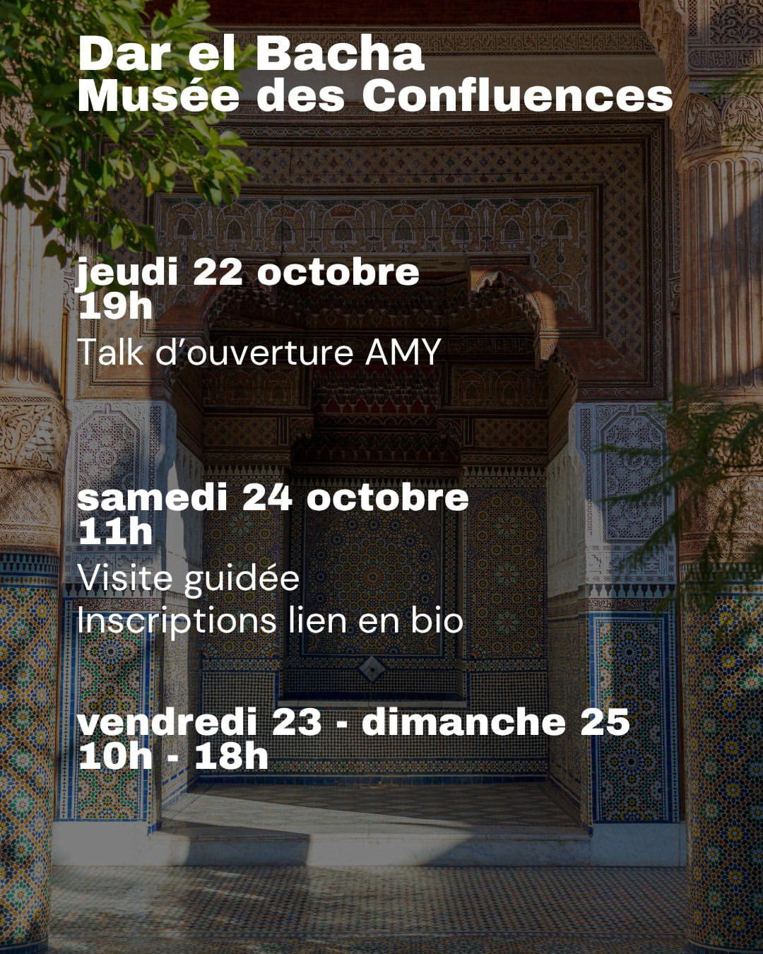AMY programme, Dar El Bacha Musée des Confluences. Courtesy AMY - Art Meets You