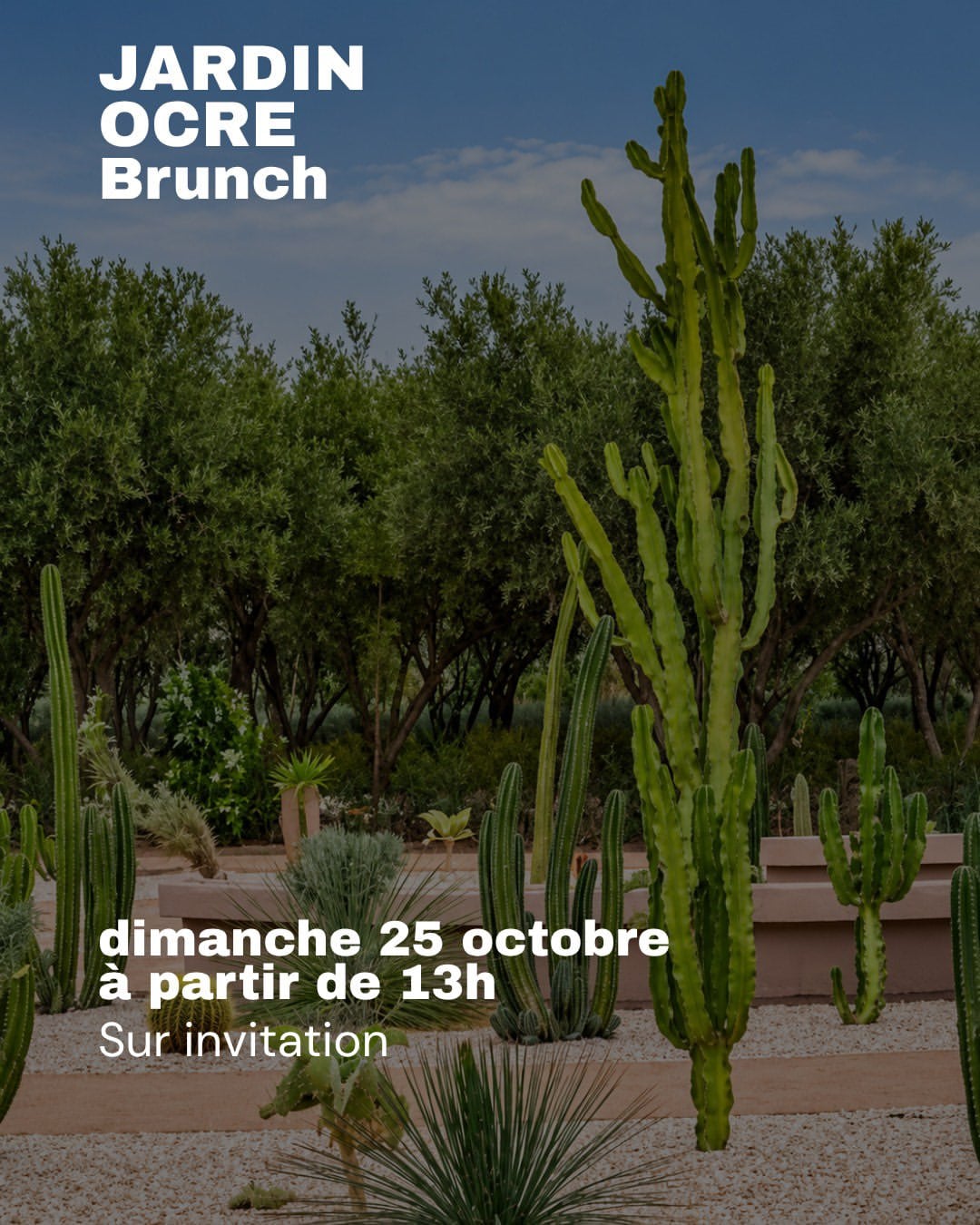 AMY programme, brunch at Jardin Ocre. Courtesy AMY - Art Meets You
