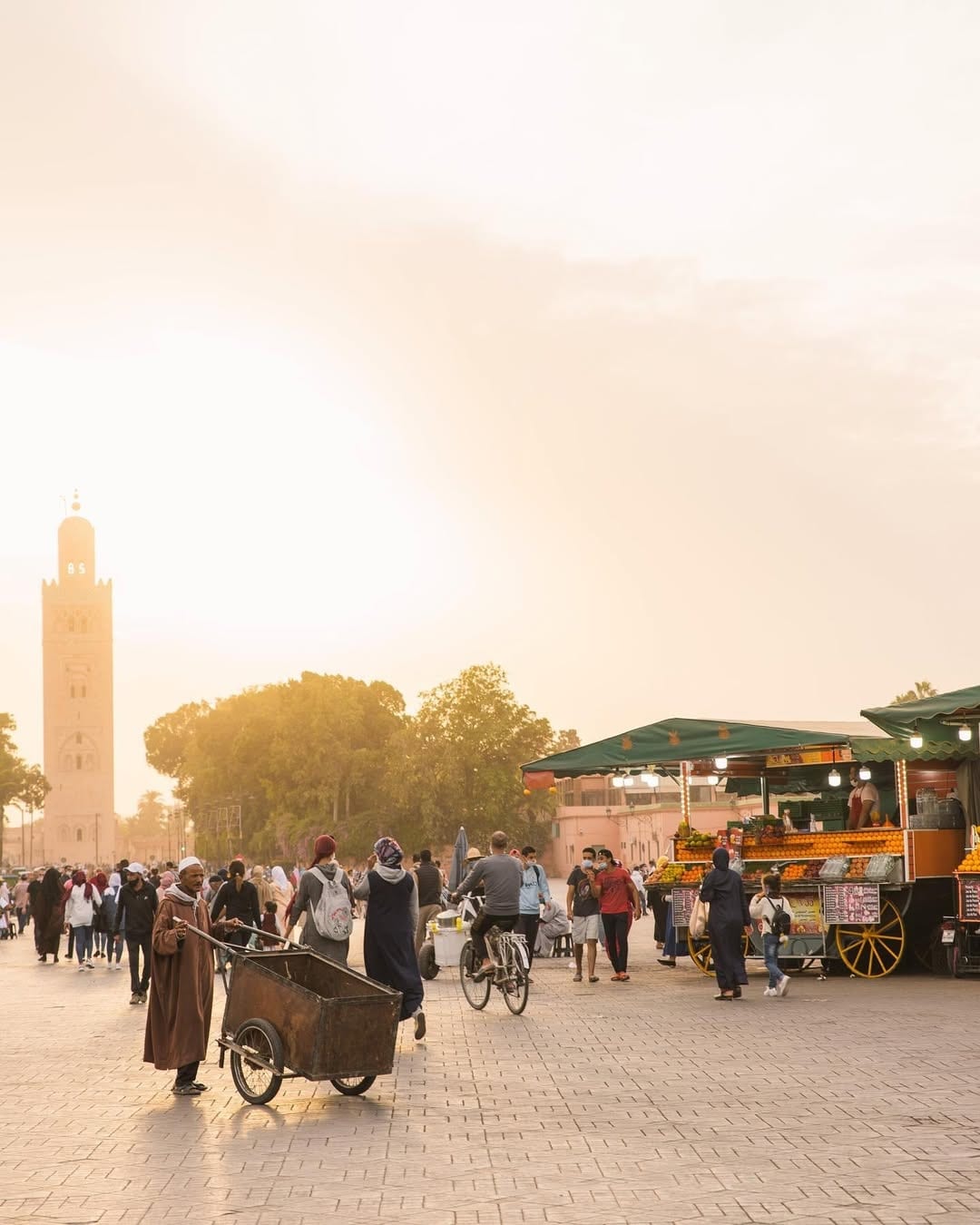 @leonie.marrakech