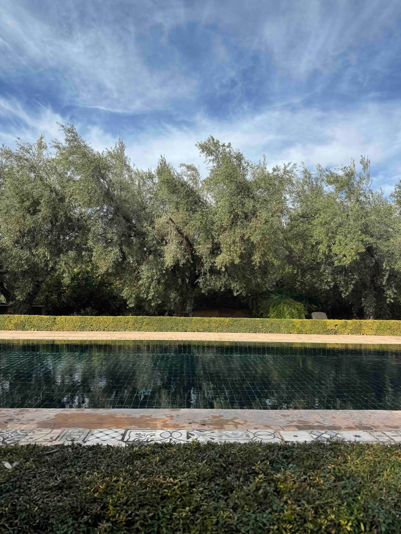 Marrakech in Winter: The Softest Light of the Year