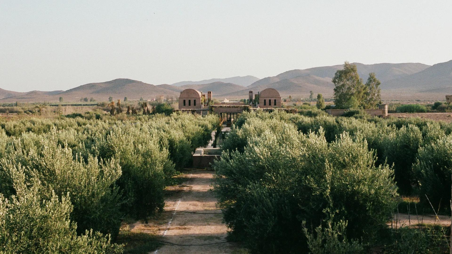 Farasha Farmhouse - Pool 12