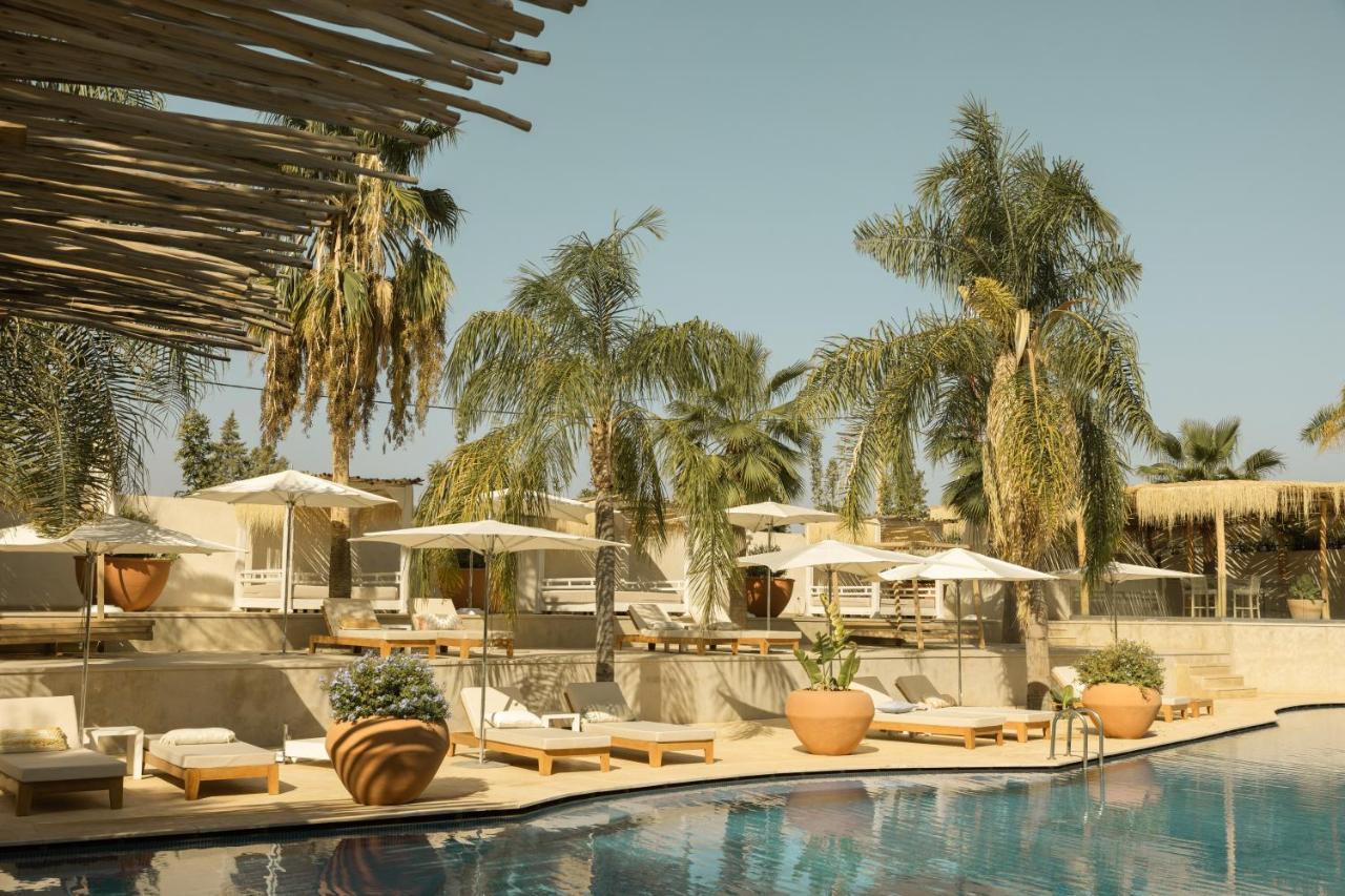 Les Palmiers - Pool 5