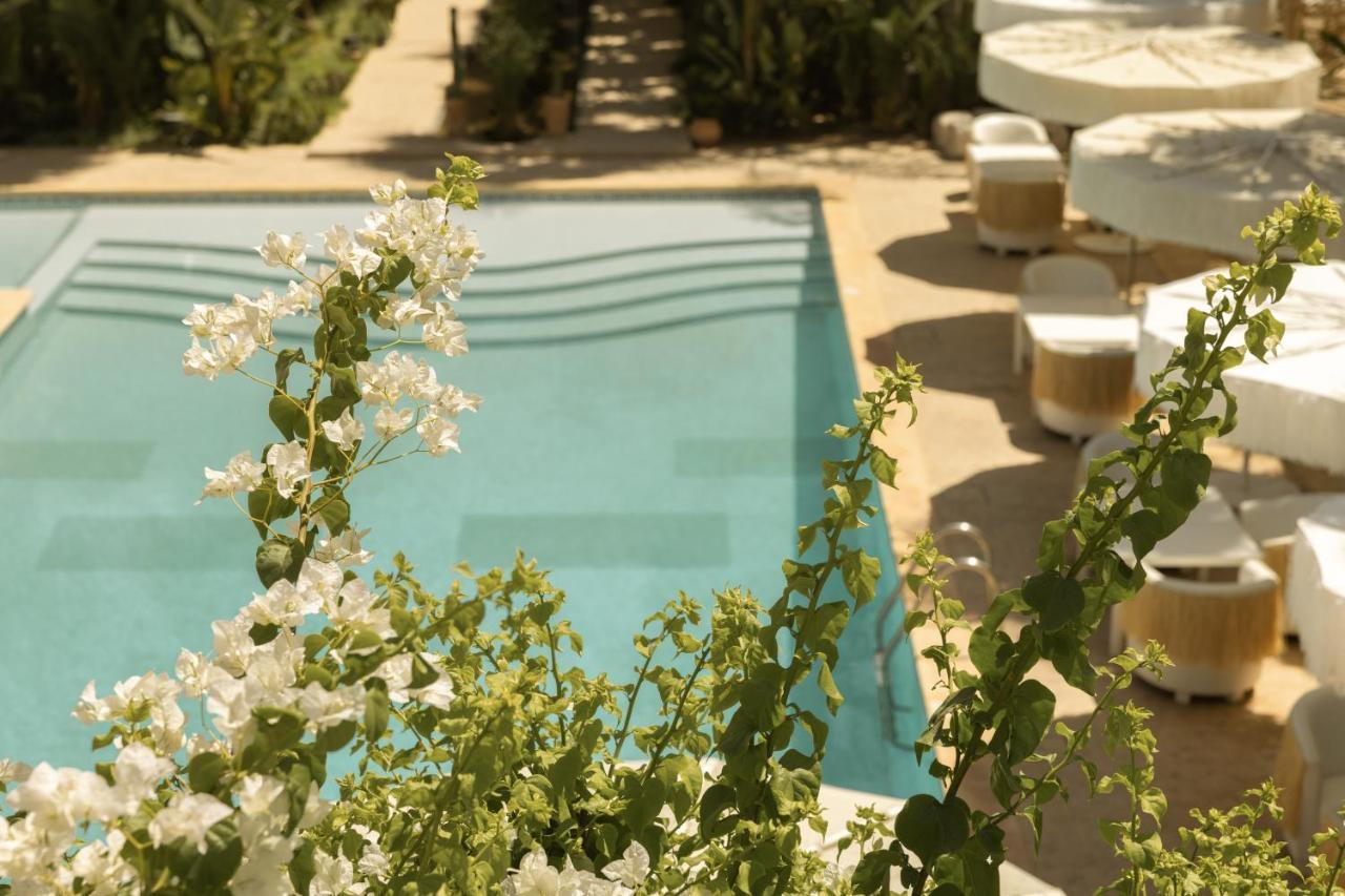 Les Palmiers - Pool 8
