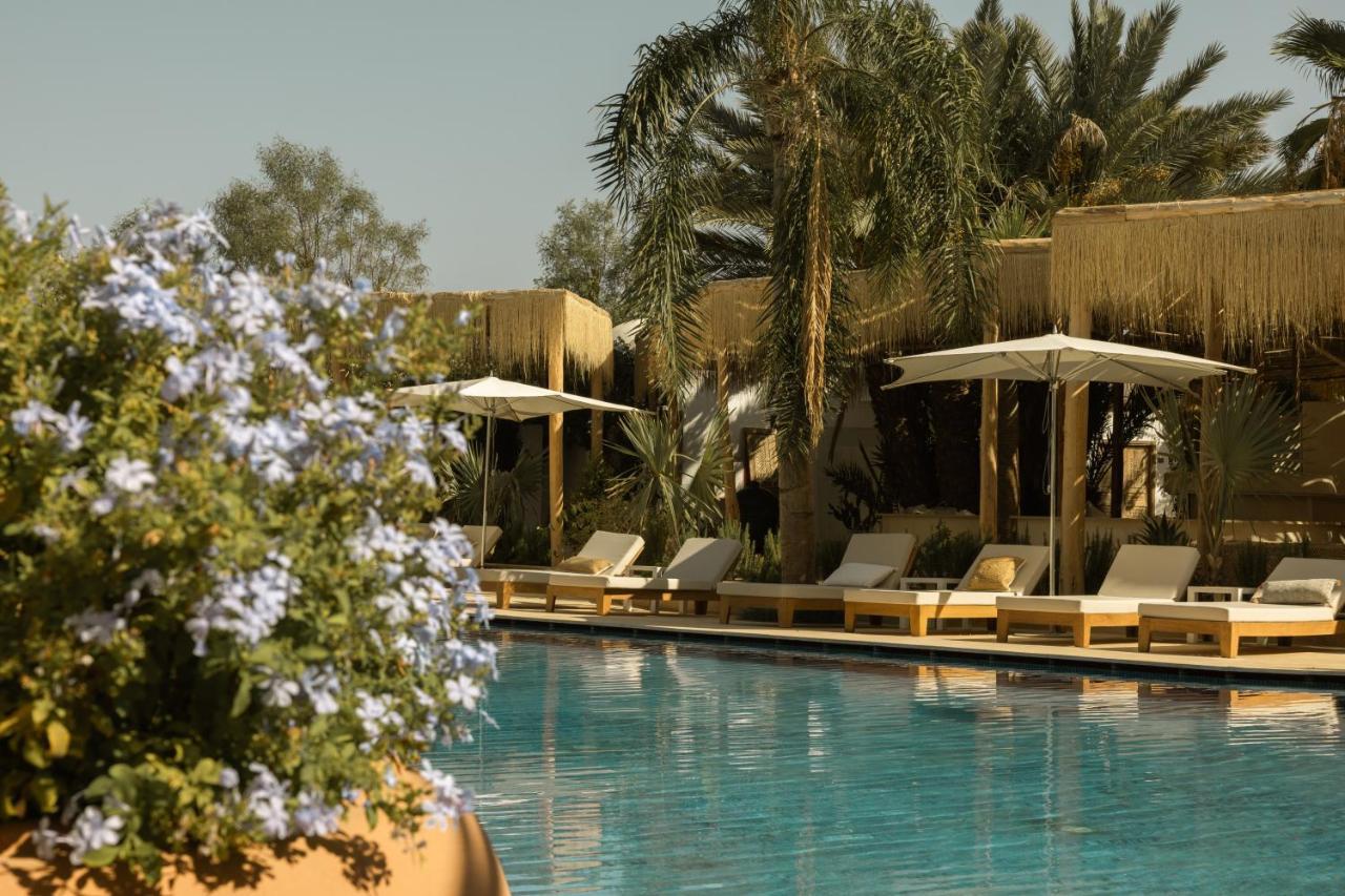 Les Palmiers - Pool 10