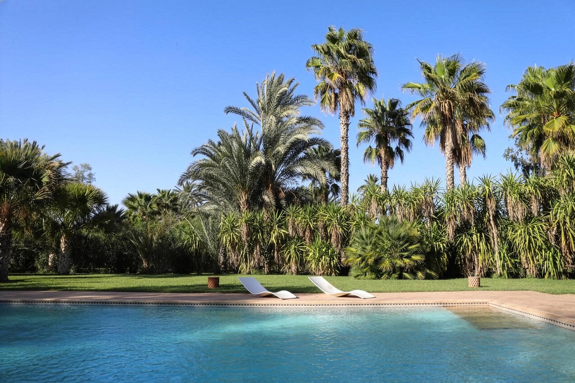 Villa Perroquet Bleu - Pool