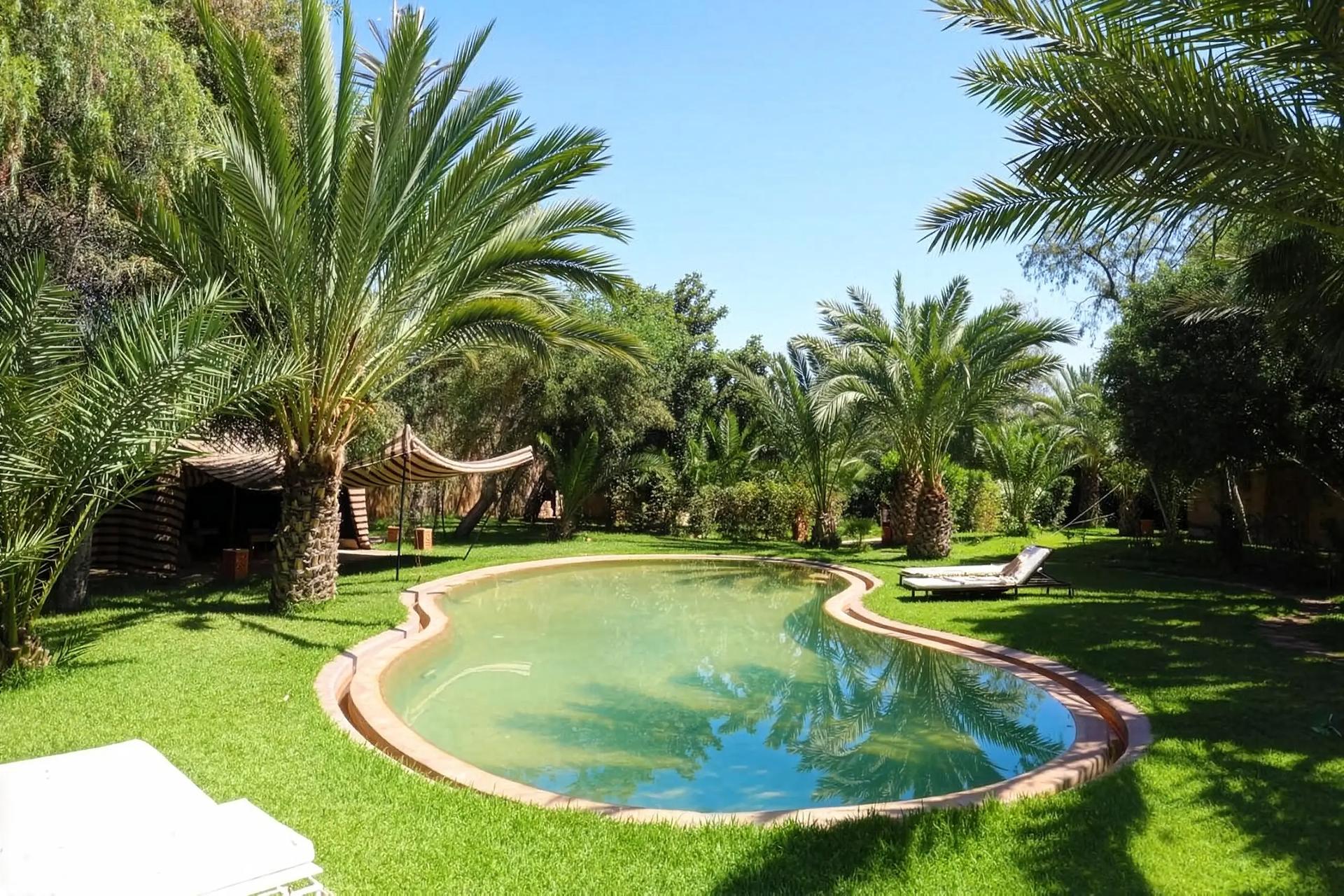 Villa Perroquet Bleu - Pool 3