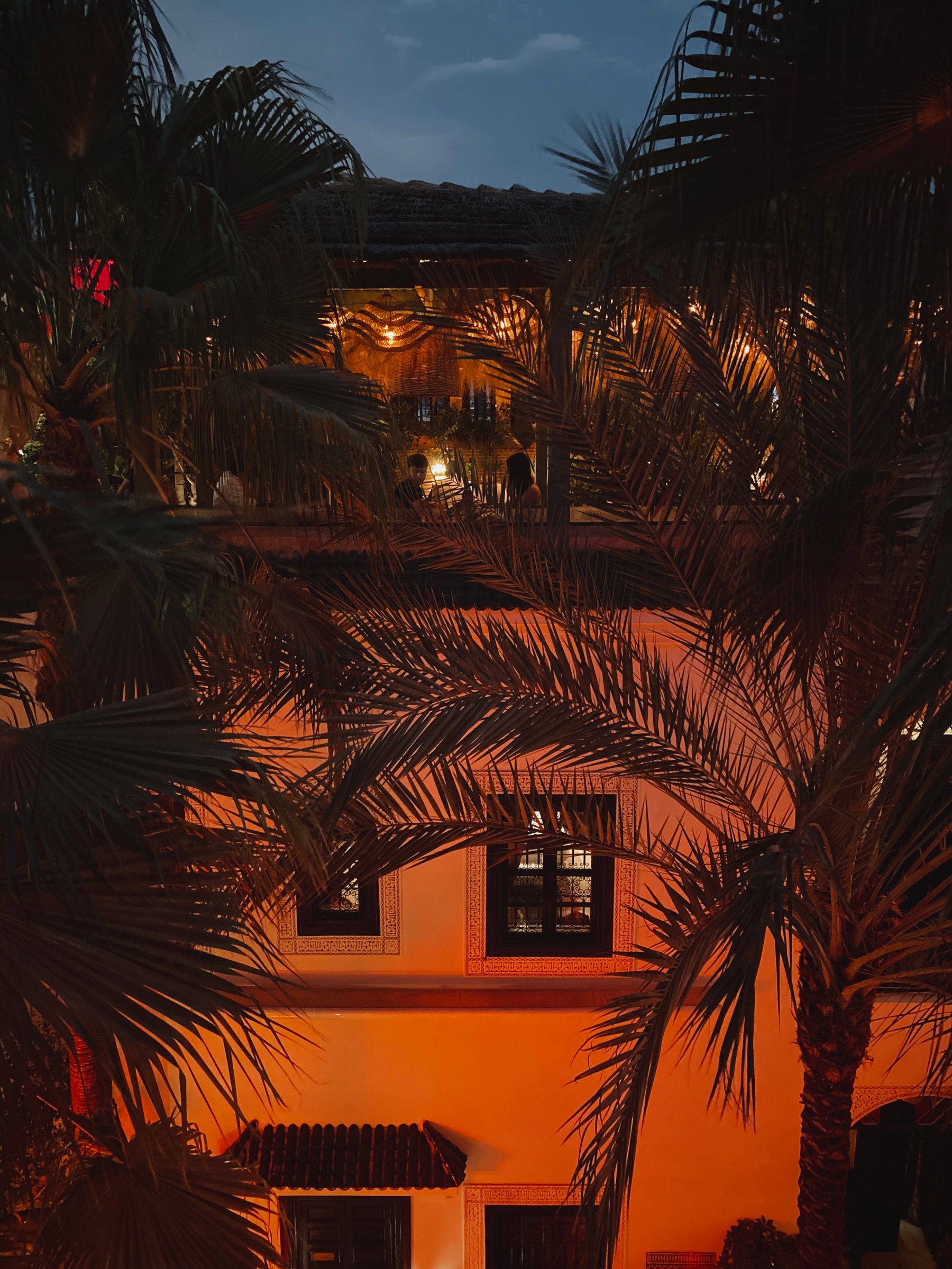 Palms rising past the walls of Riad Monceau at night, with La Pergola lit above