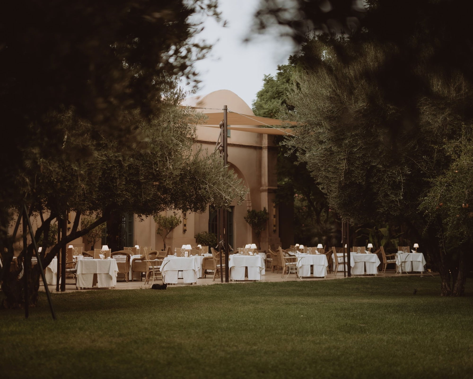 Tables laid with white cloths on the lawn at dusk, outside Salammbô at Les Deux Tours in the Palmeraie