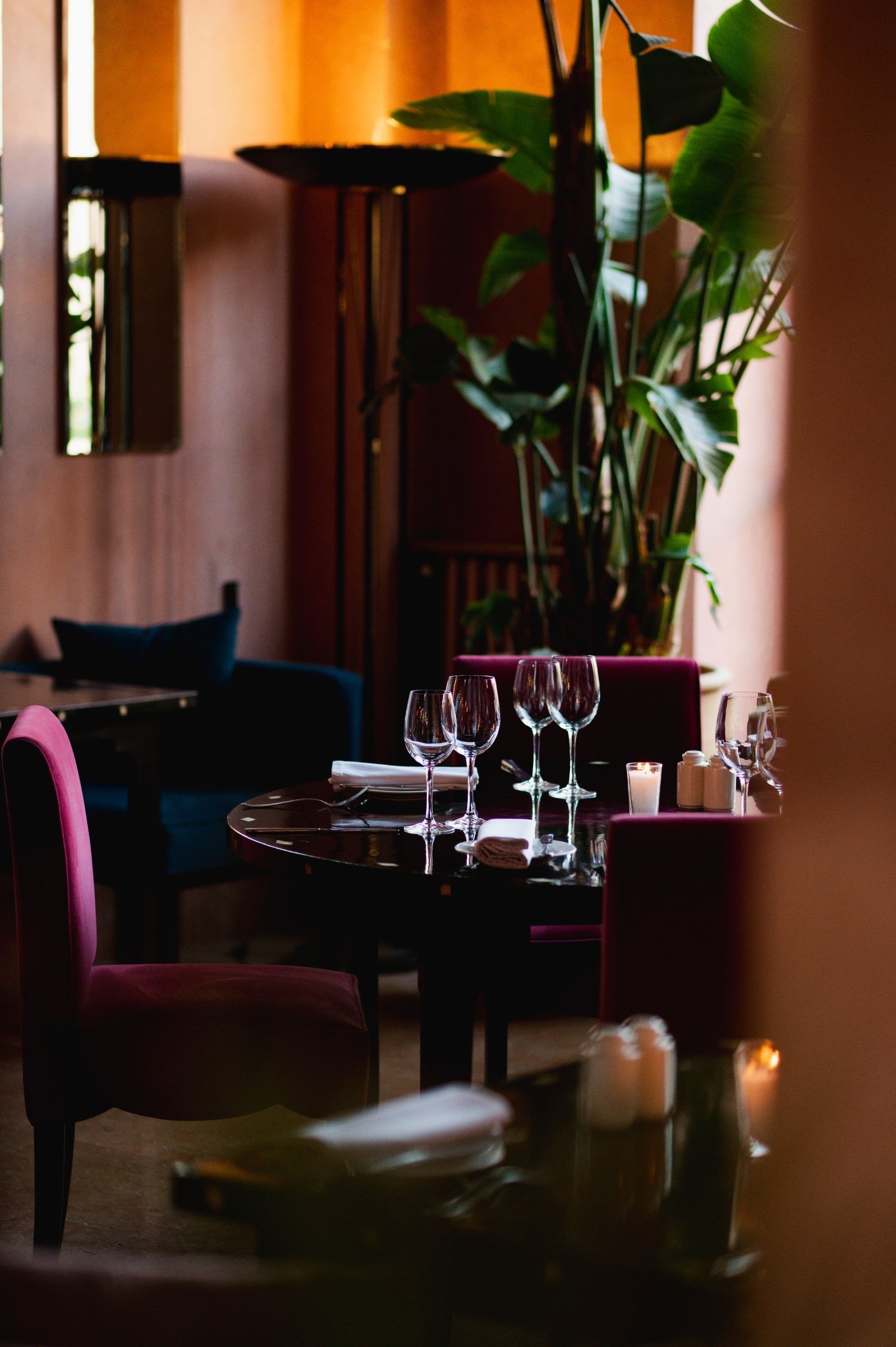 A corner of Salammbô's dining room with velvet armchairs, a table set with glasses and tall plants