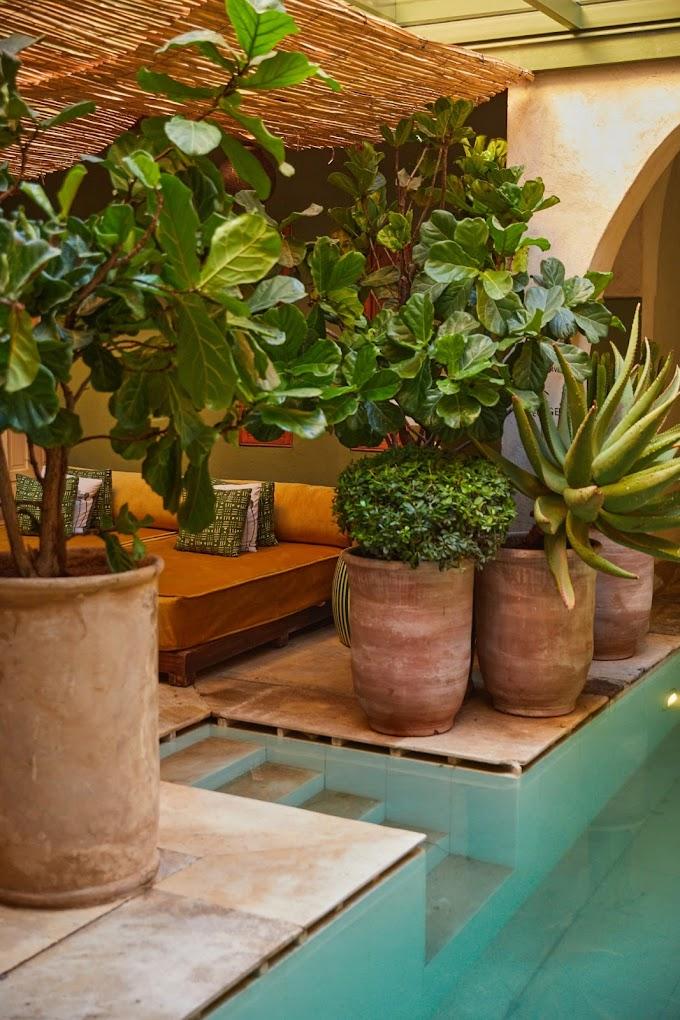 El Fenn Spa 5