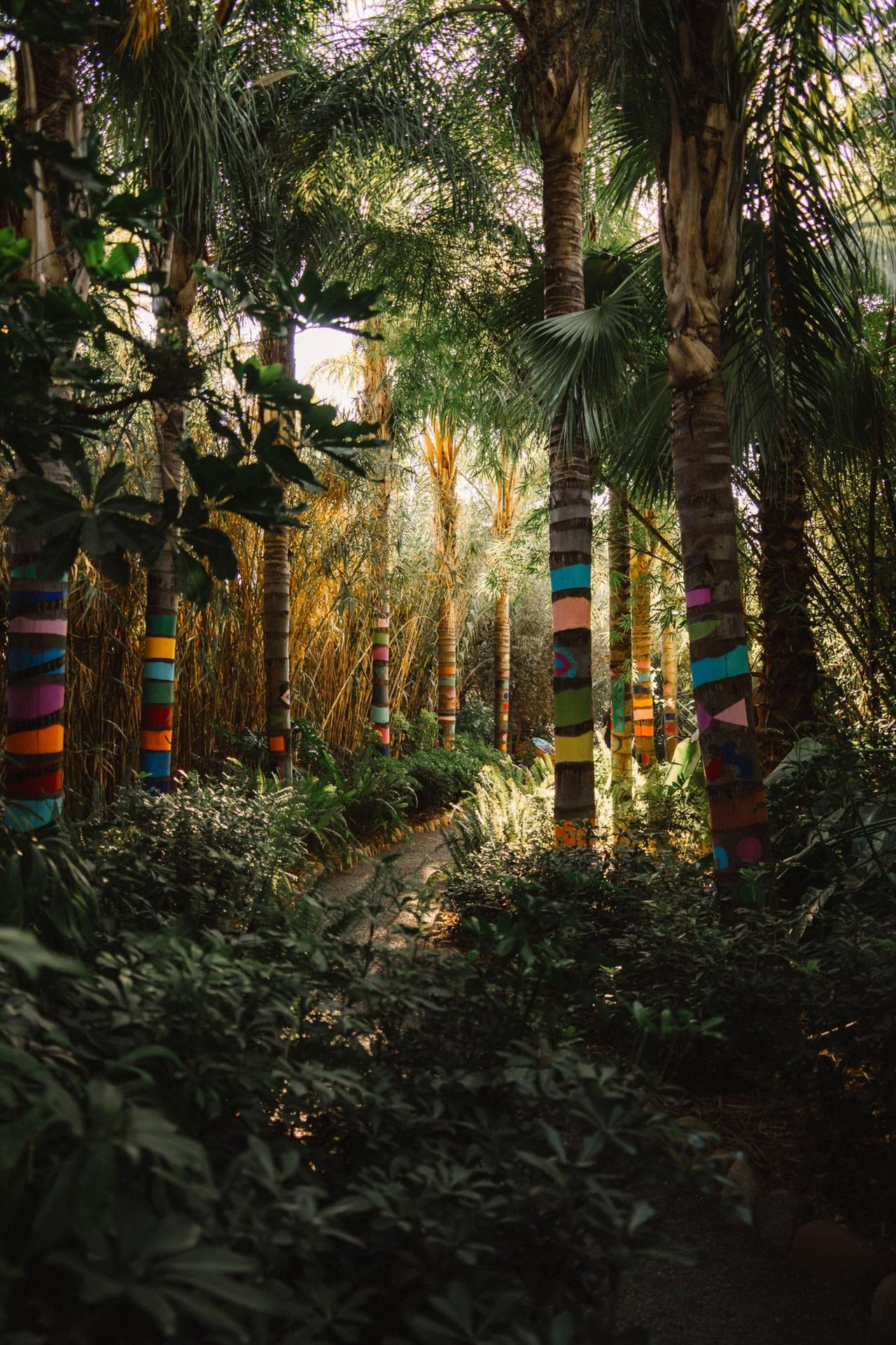 Anima Garden 2