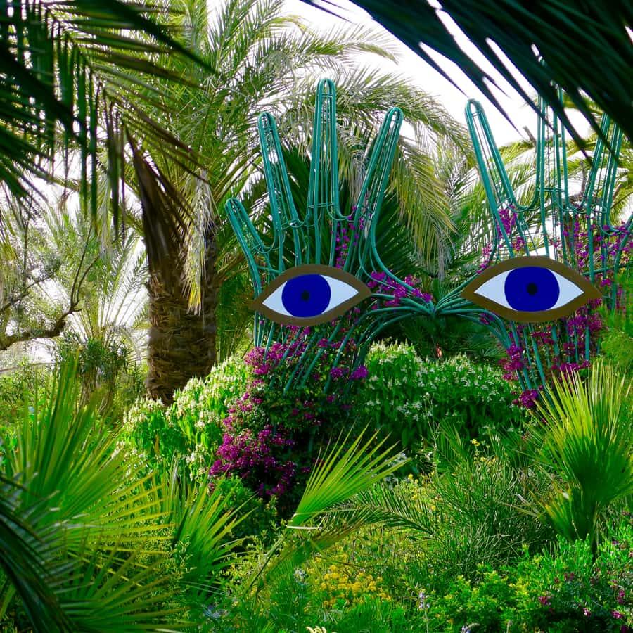 Anima Garden 4
