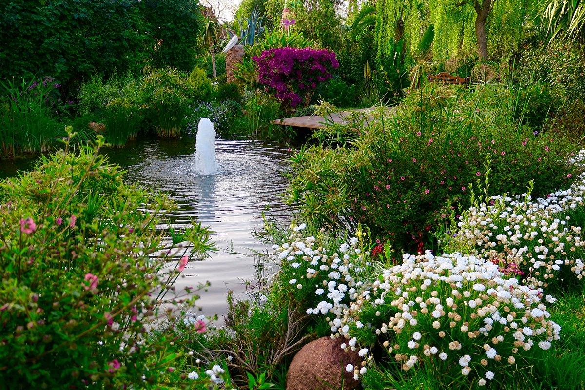 Anima Garden 9