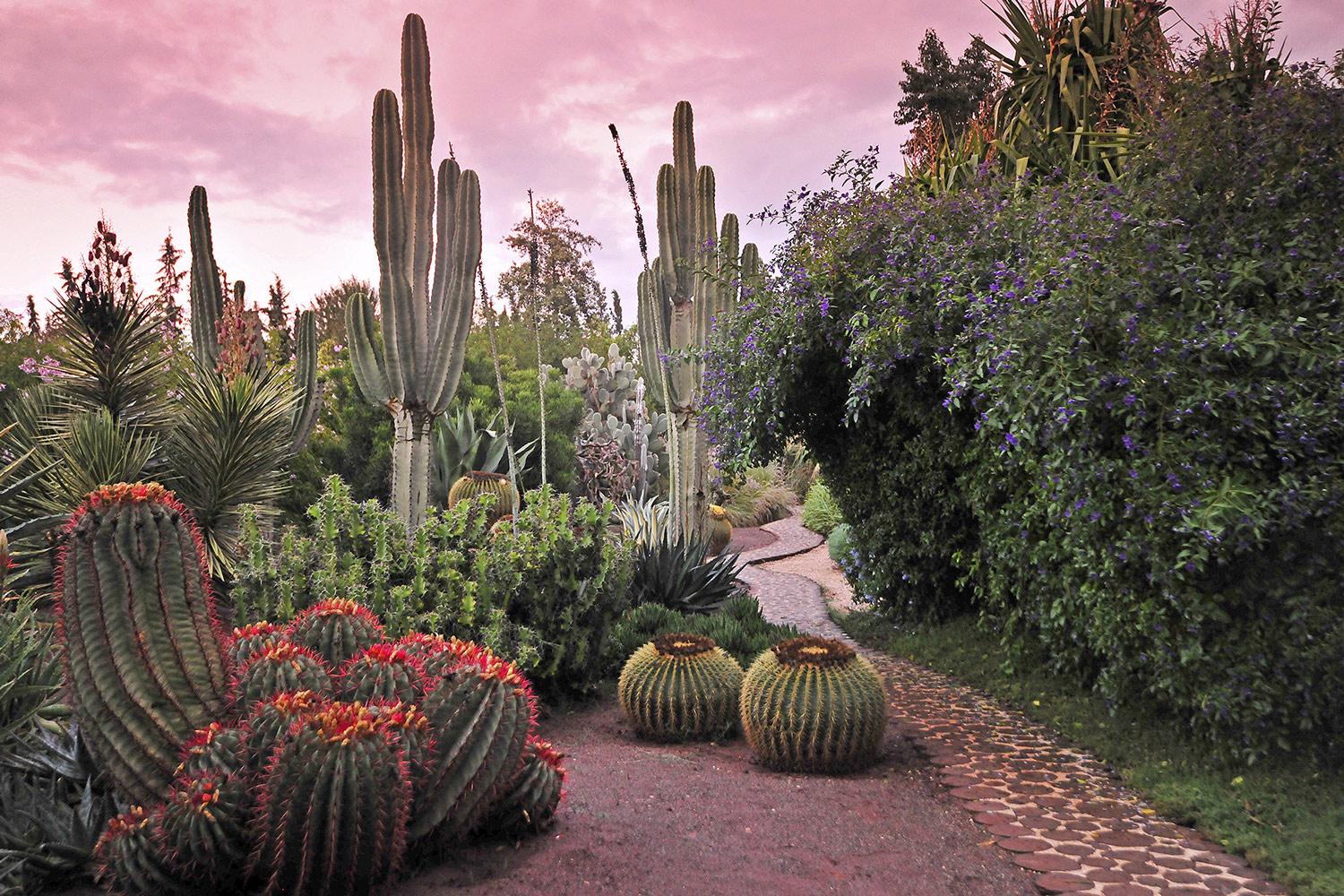 Anima Garden 14
