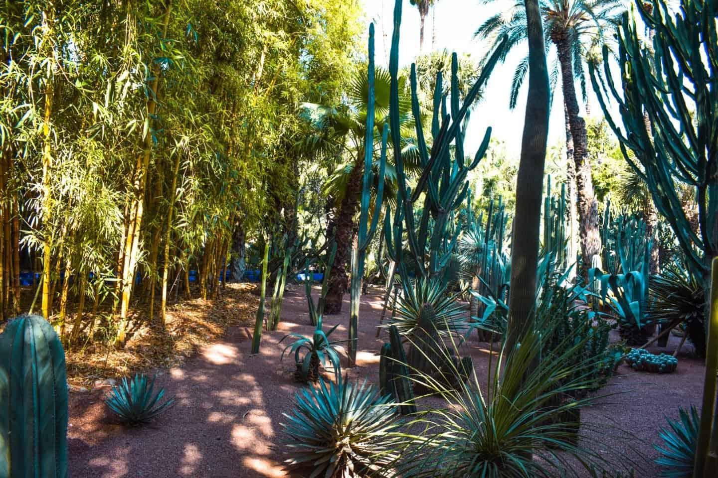 Jardin Majorelle 18