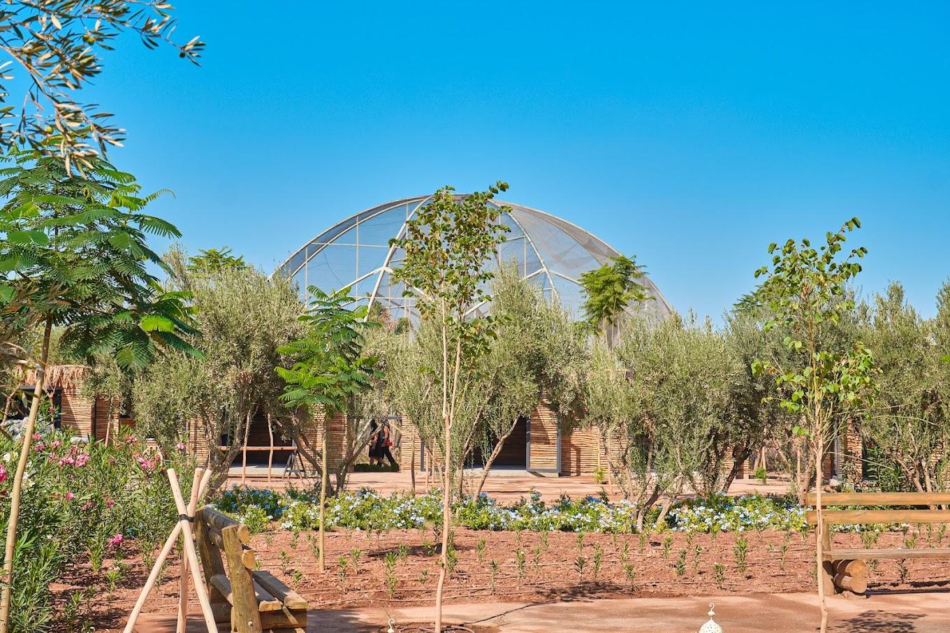 Jardin Ocre 9